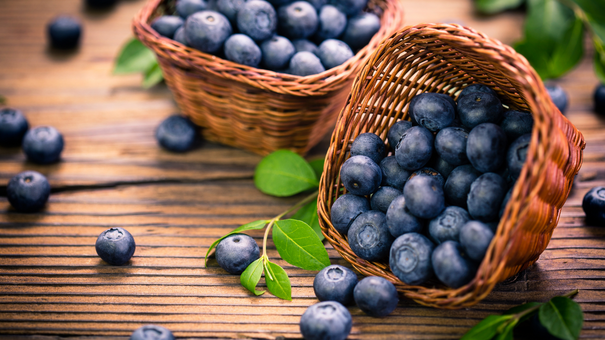Dürfen Hunde Blaubeeren essen? | Futtertopping für Hunde