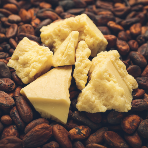 Kakaobutter für Dein Pferd: Warum Kakaobutter ein echter Geheimtipp ist