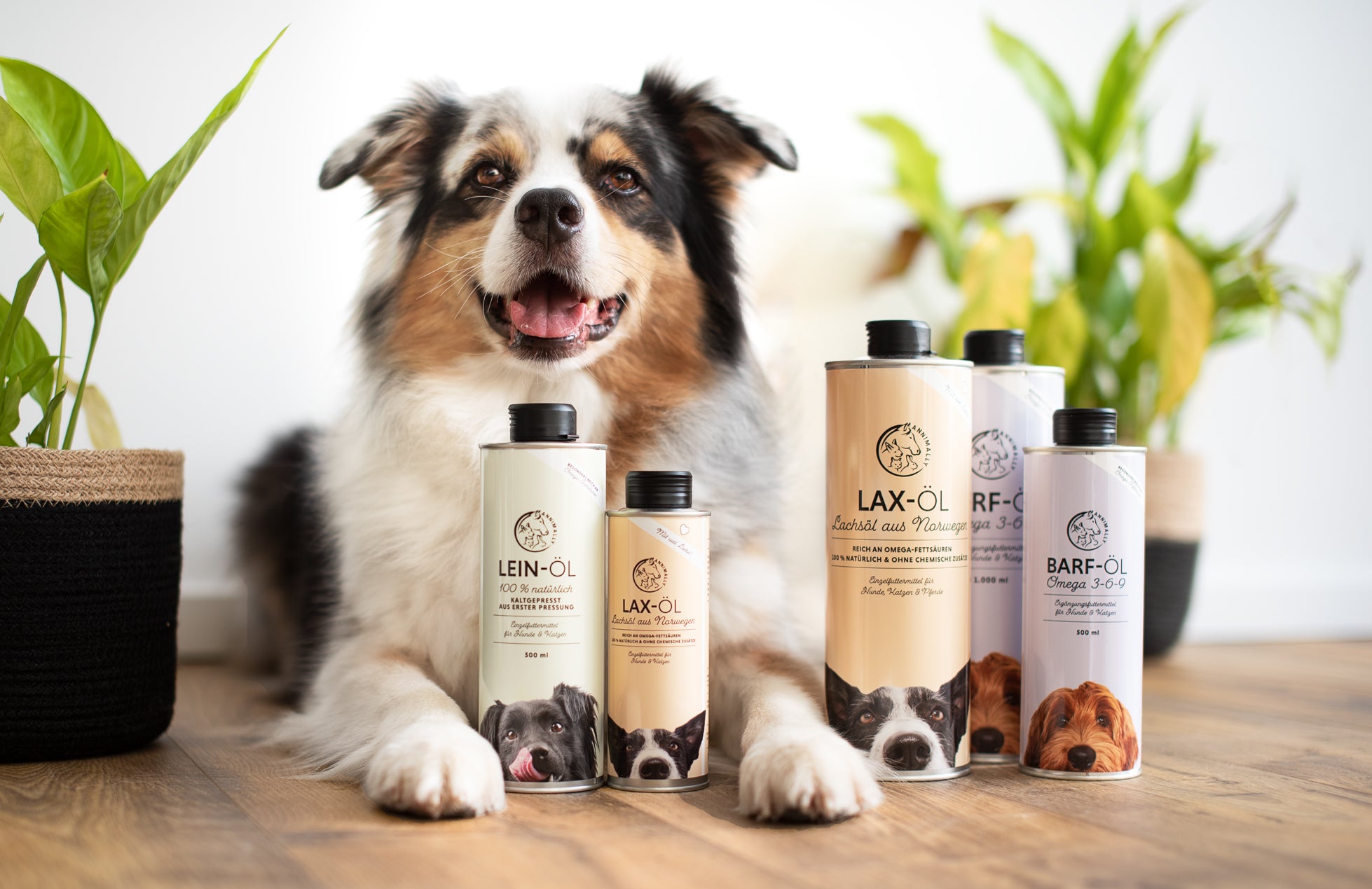 Haut- & Fellpflege für Hunde