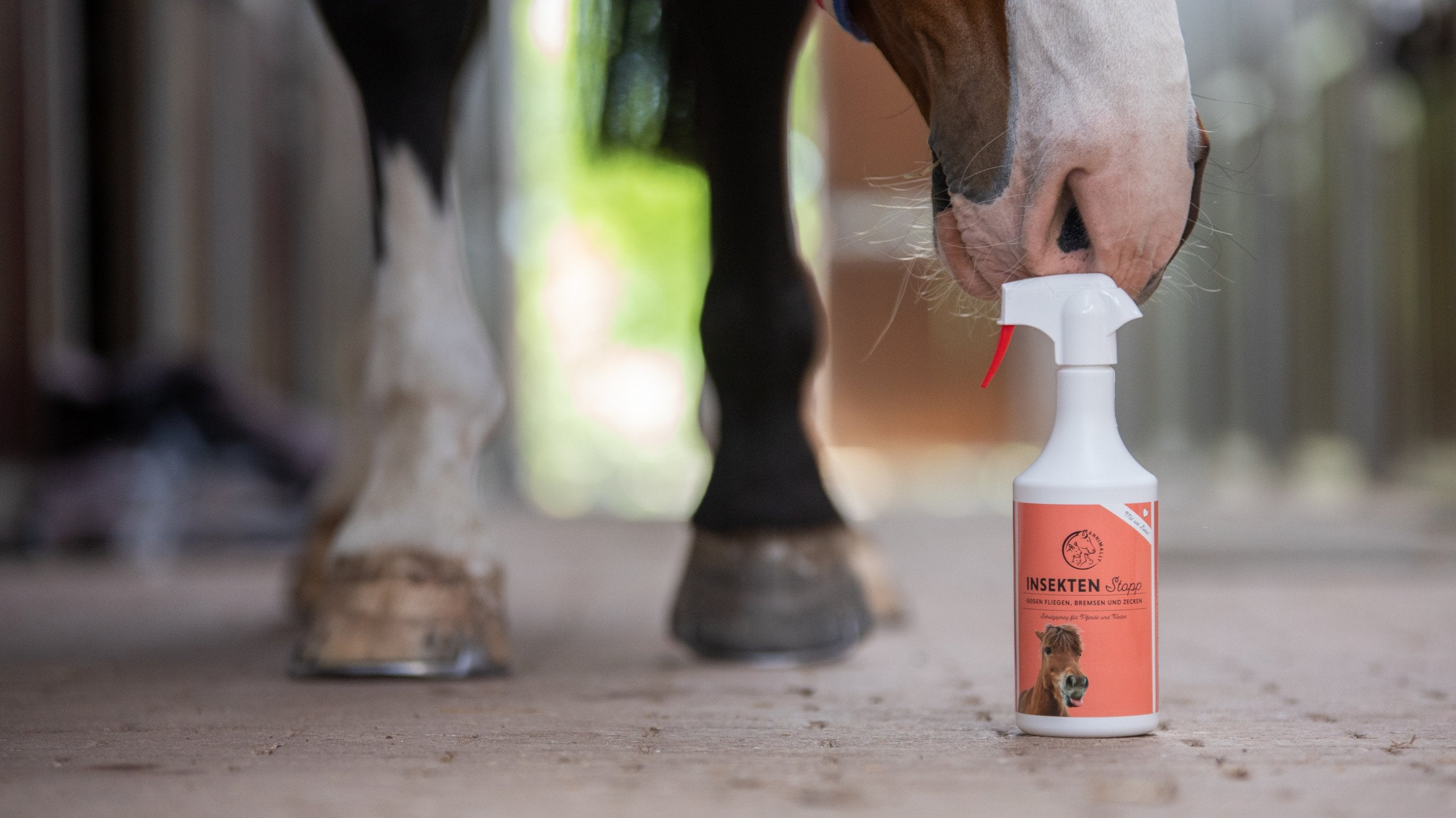 Saisonales für Pferde