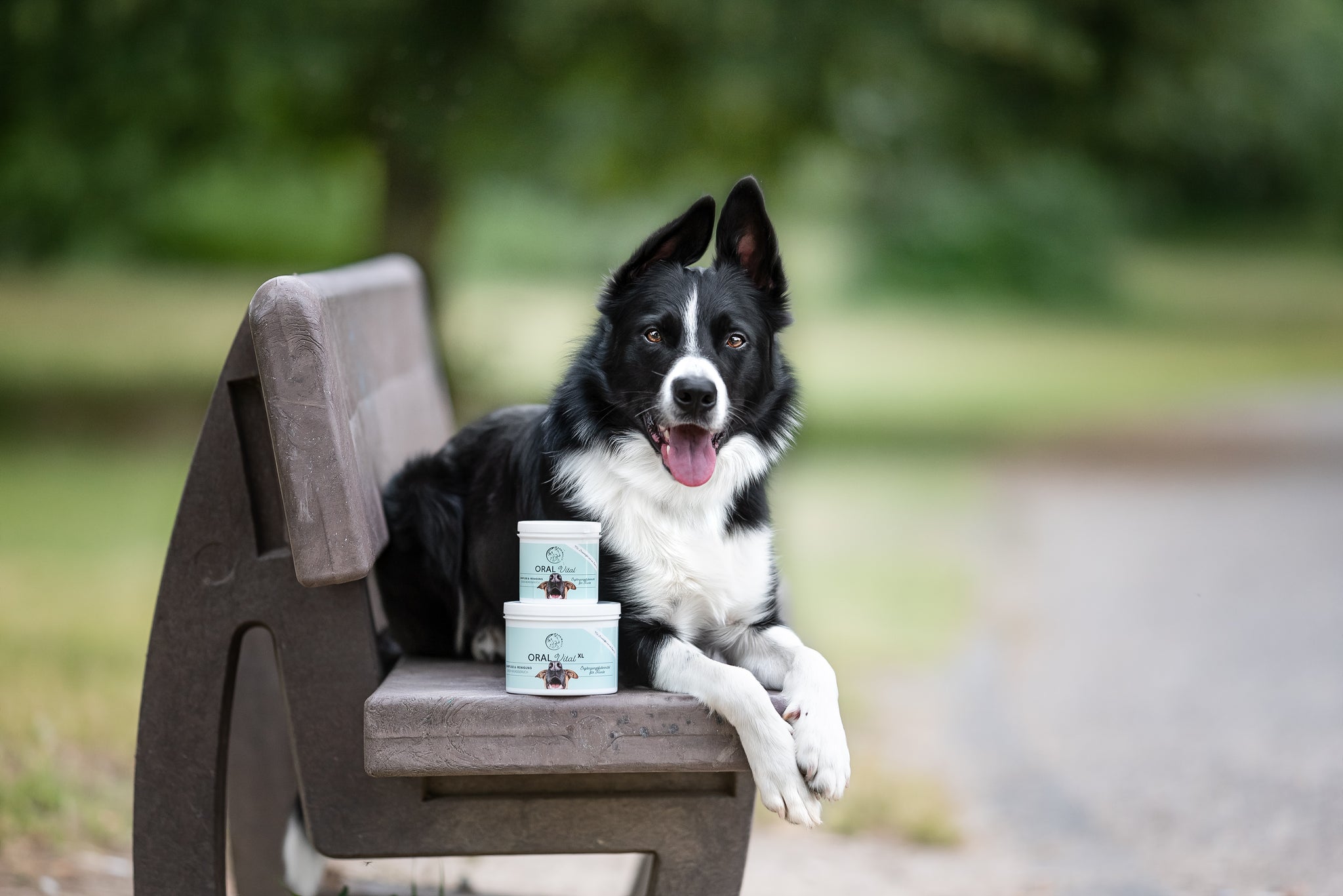 Vriendelijke rubberen ballen voor Honden, 5 cm Vriendelijke rubberen ballen voor Honden, 5 cm