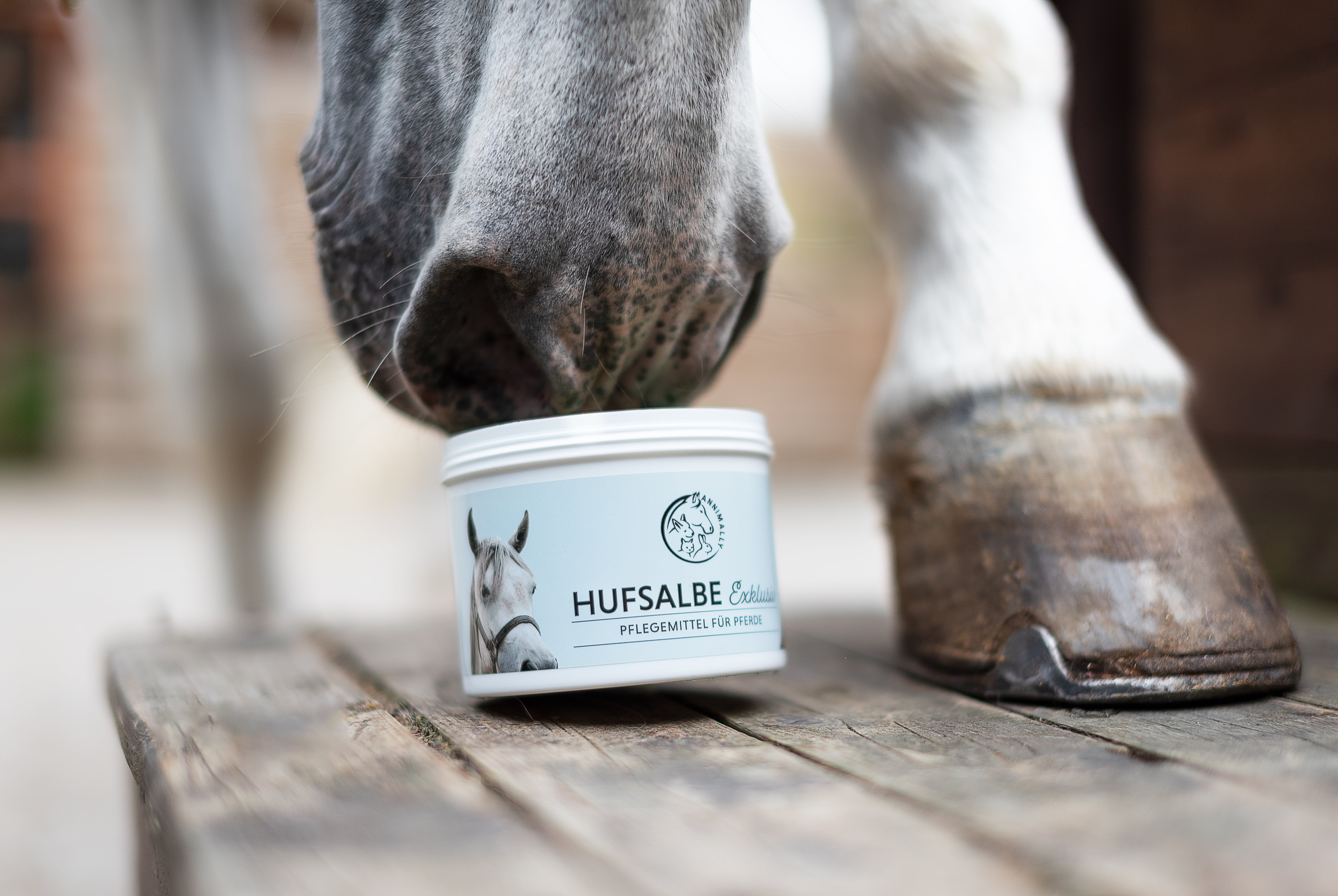 Pflegemittel für Pferde