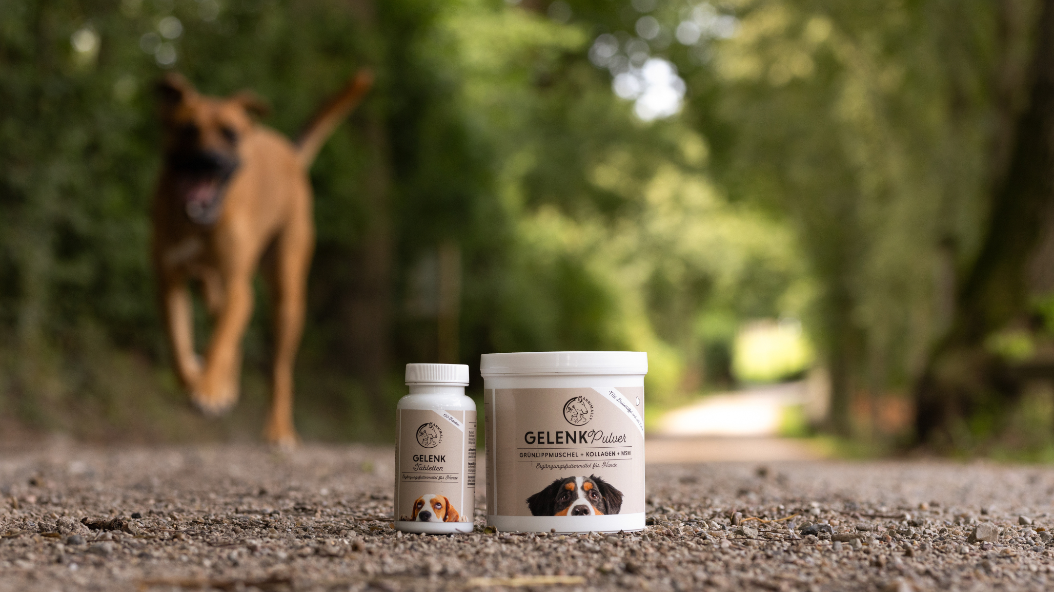 Ergänzungsfutter für Gelenke & Muskeln