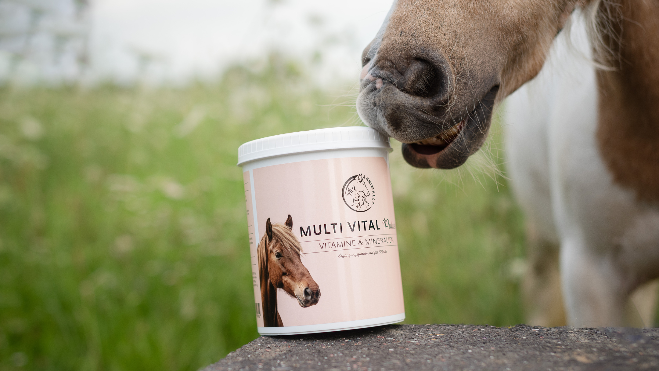 Vitamine für Pferde