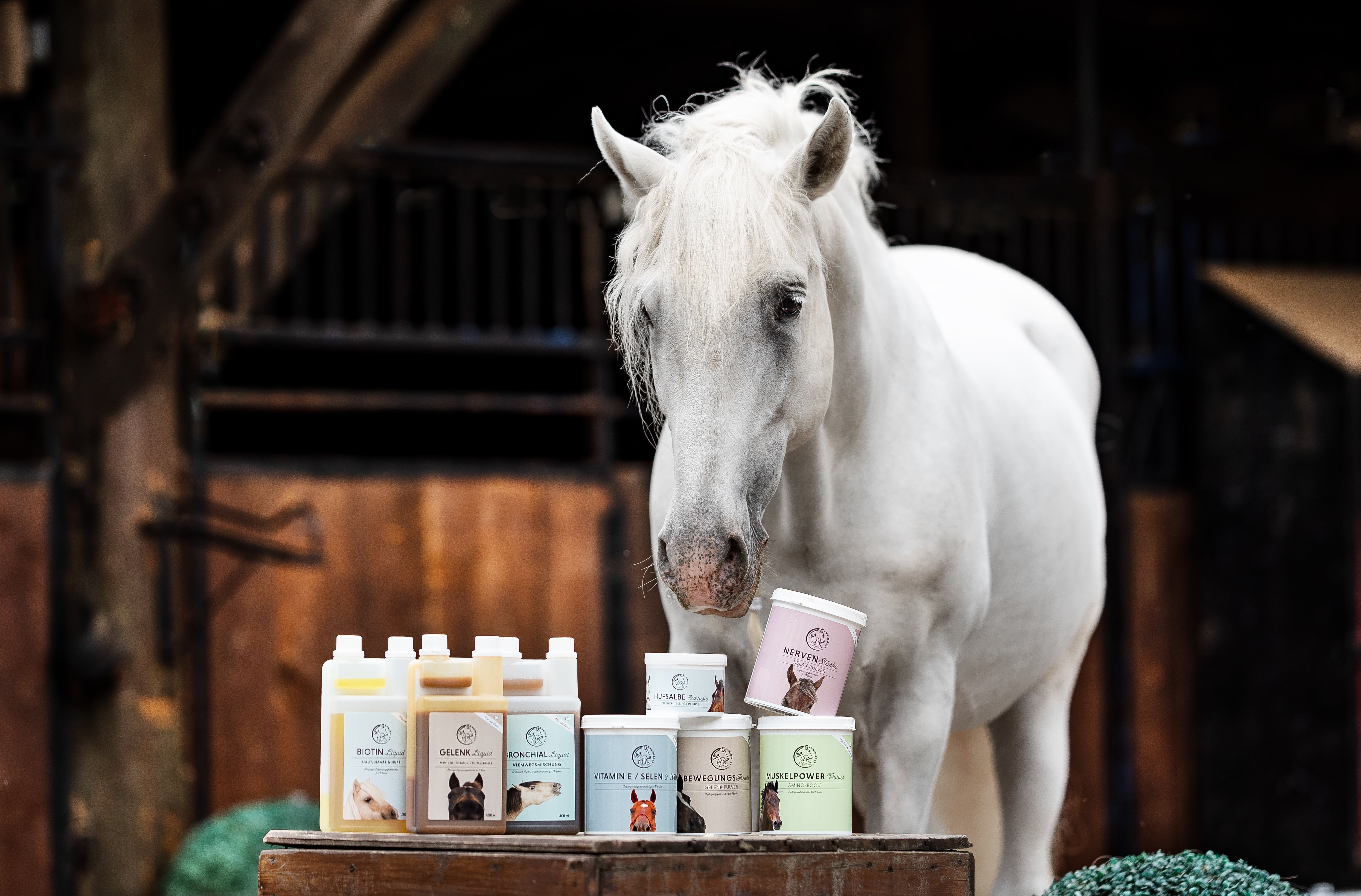 Wohlbefinden & Vitalität für Pferde