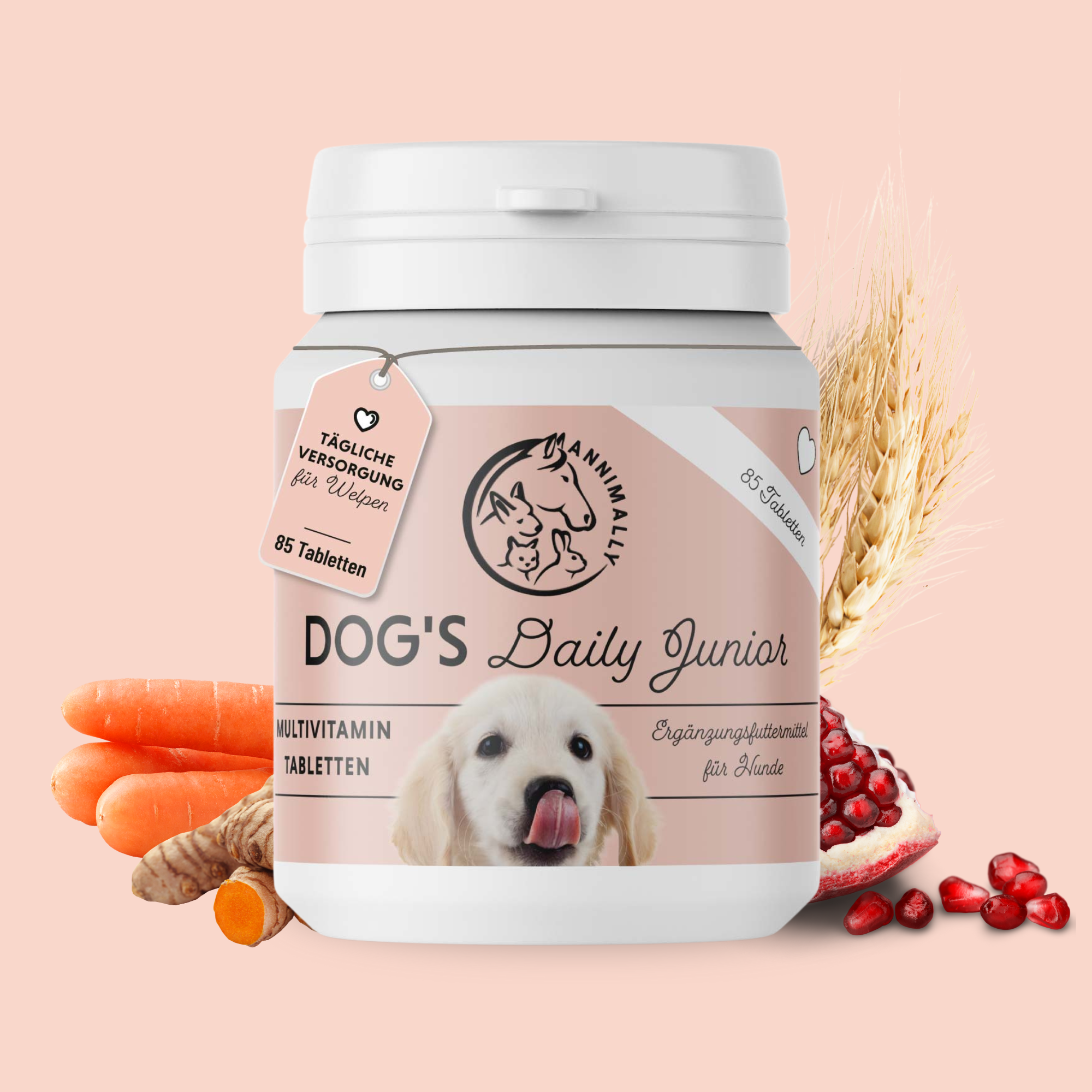 Dog‘s Daily Junior