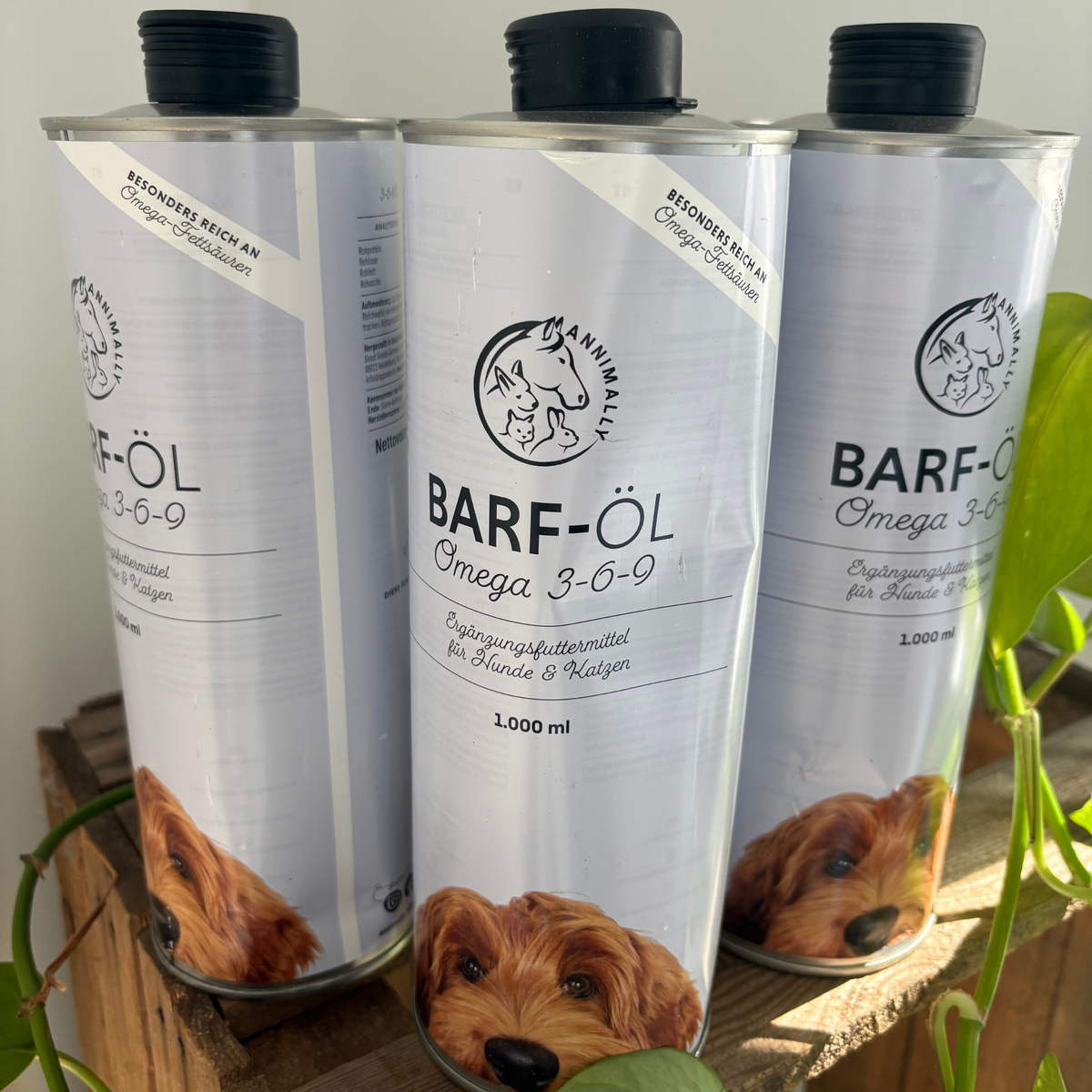 Raw feed Oil