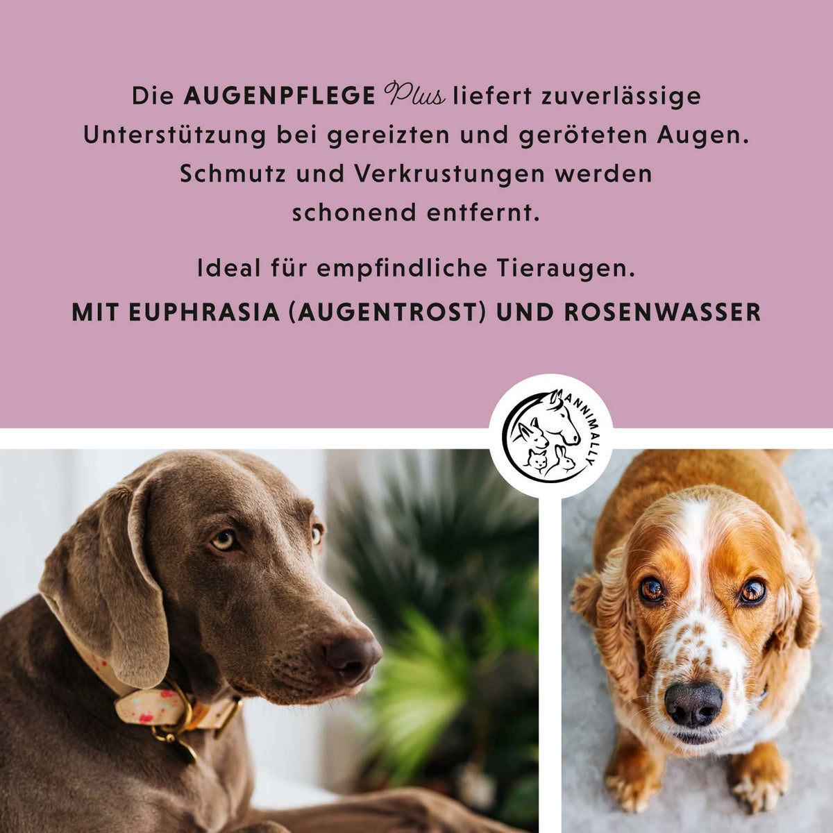 Augenpflege Plus mit Euphrasia & Rosenwasser – Tierpflege für Hunde