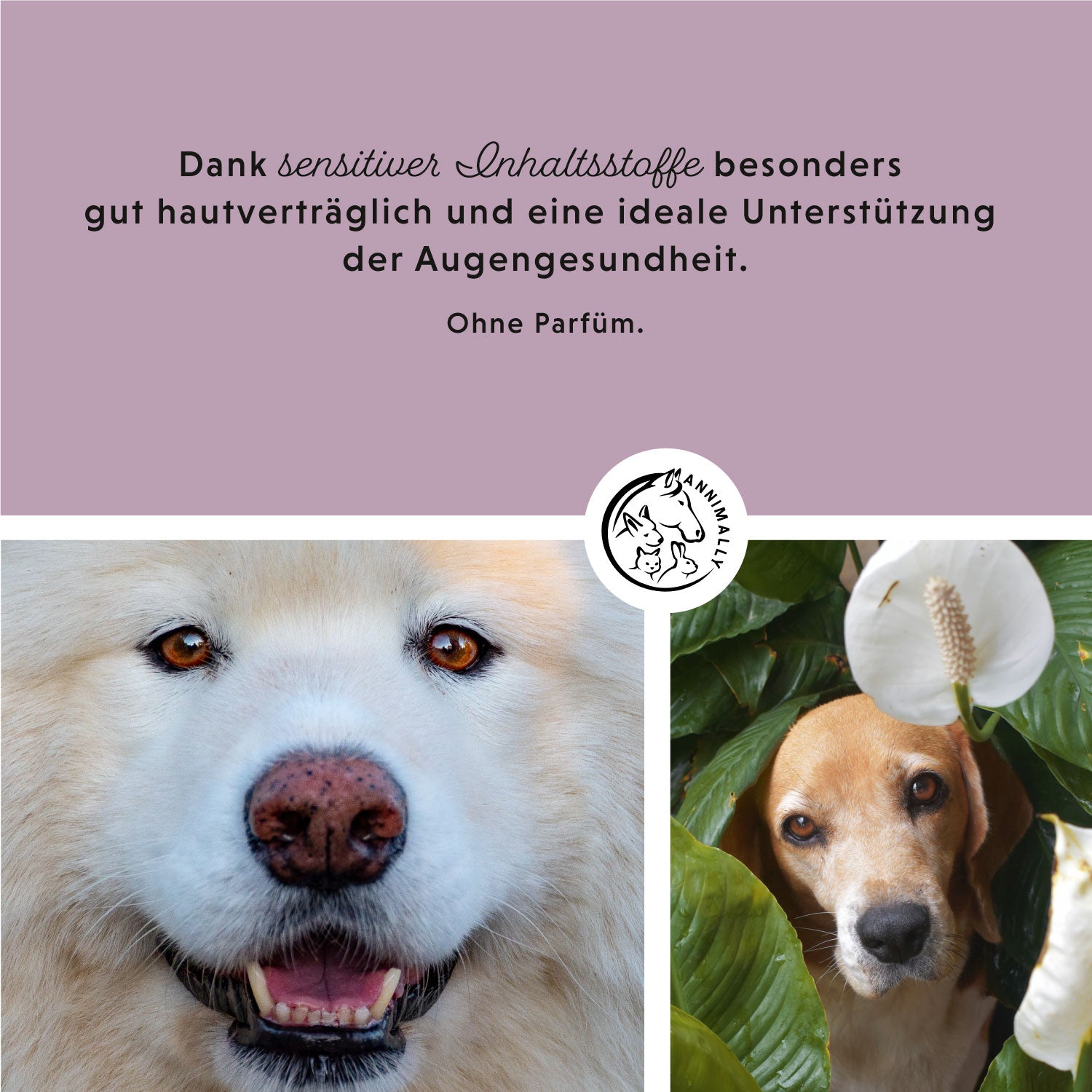 oogkussentjes