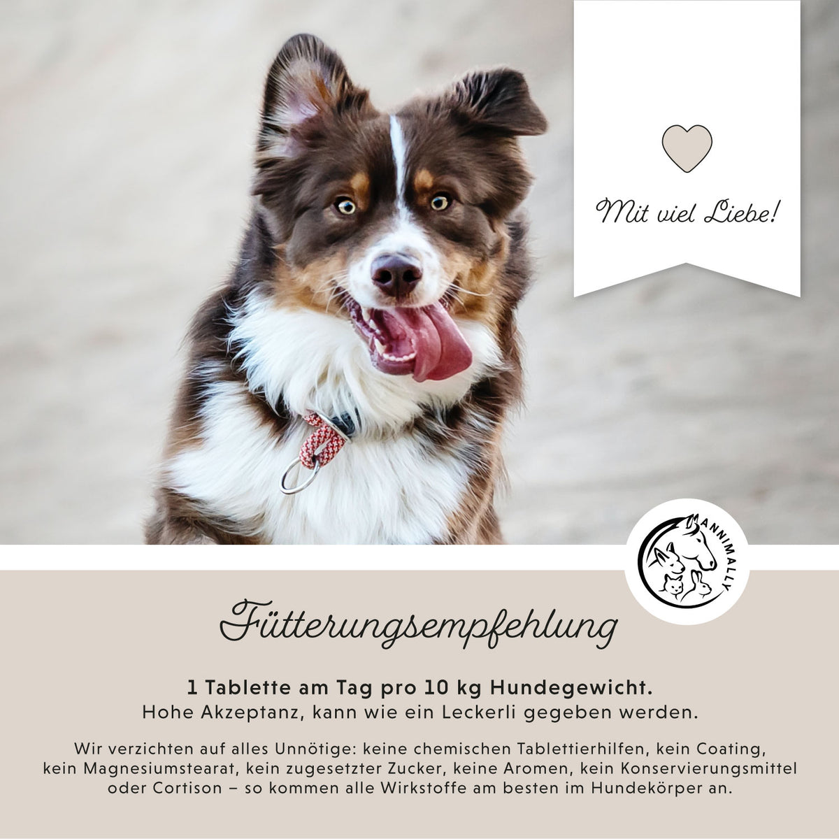 Bestseller-Box von Annimally – Box mit Futtertoppings für Hunde & Katzen