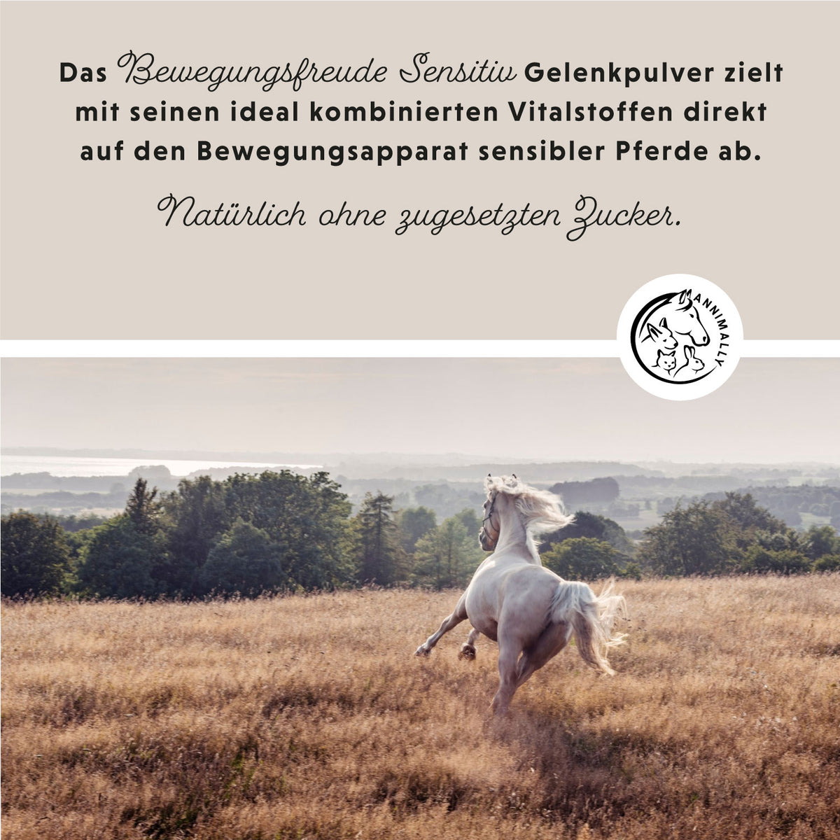 Bewegungsfreude Sensitiv von Annimally für Gelenke & Bewegung – Futtertopping für Pferde