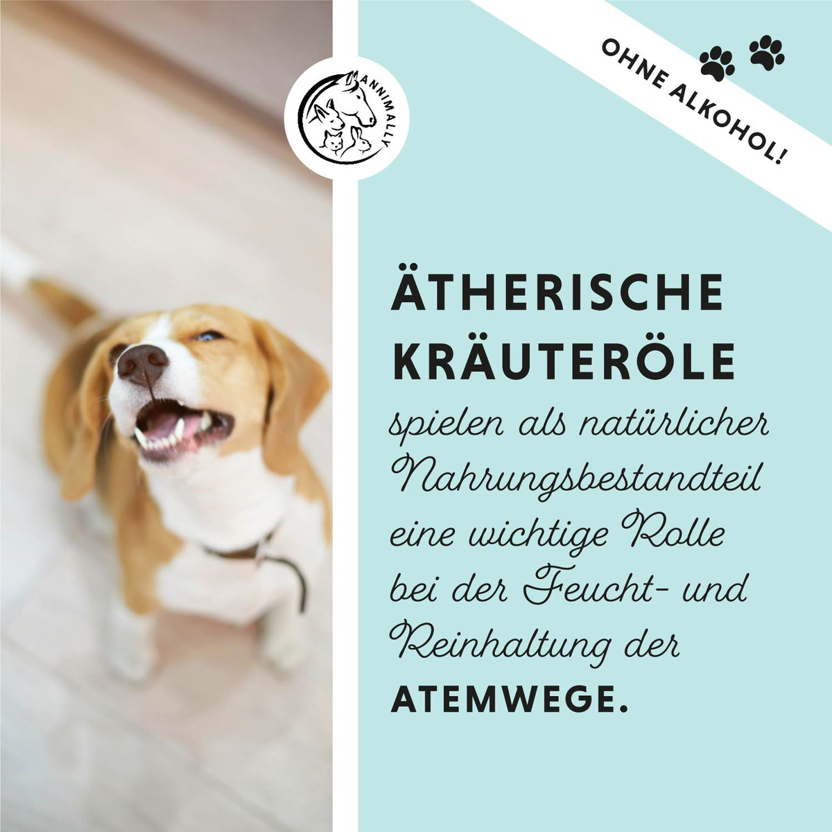 Bronchial Plus von Annimally für freie Atemwege – Futtertopping für Hunde