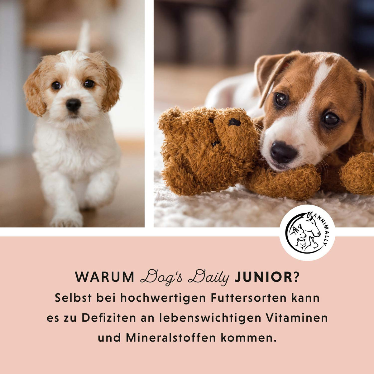 Dog‘s Daily Junior für Welpen & Junghunde – Futtertopping für Hunde