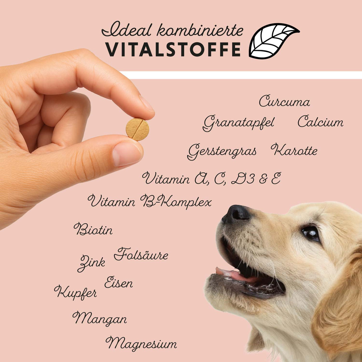 Dog‘s Daily Junior von Annimally für Welpen & Junghunde – Futtertopping für Hunde