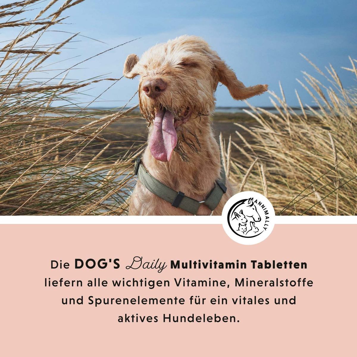 Dog's Daily für die tägliche Versorgung – Futterzusatz für Hunde