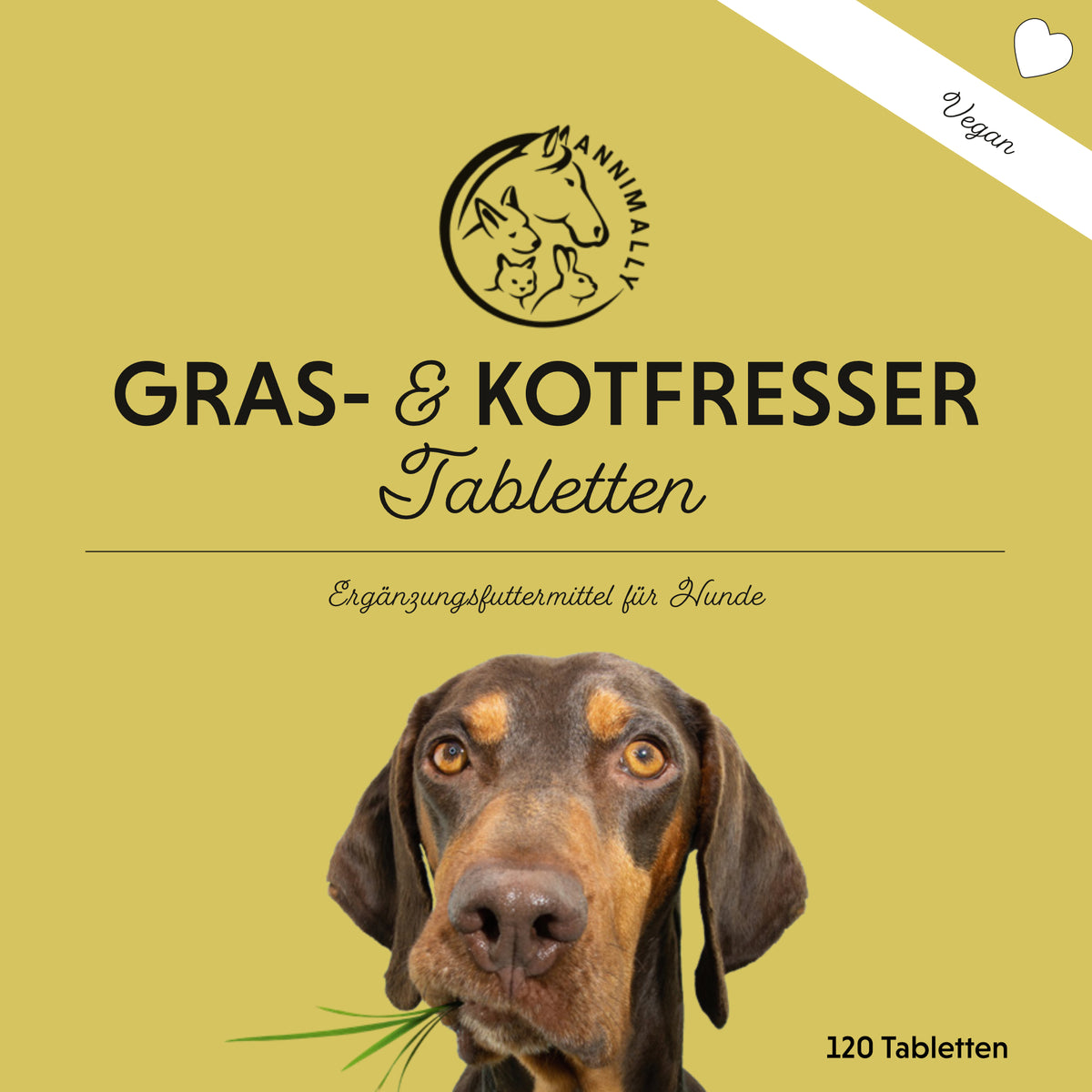 Futterergänzung für Hunde: Gras- & Kotfresser Tabletten