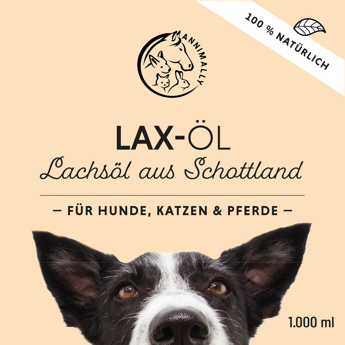 Futterergänzung für Hunde & Katzen: Lax-Öl mit Omega-3-Fettsäuren