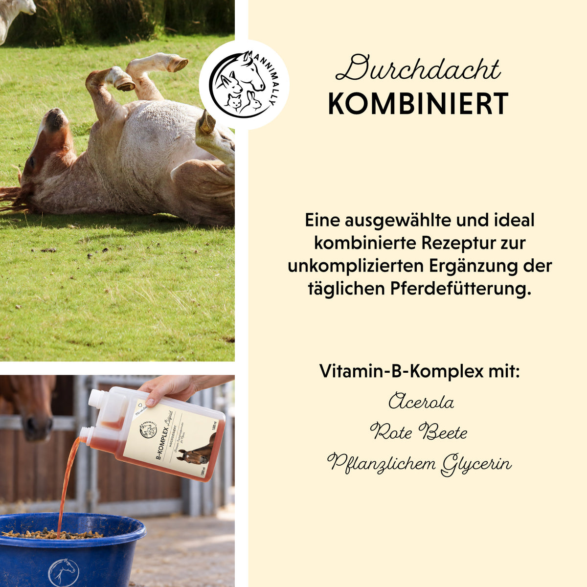 Futterzusatz für Haustiere: B-Komplex Liquid mit B-Vitaminen