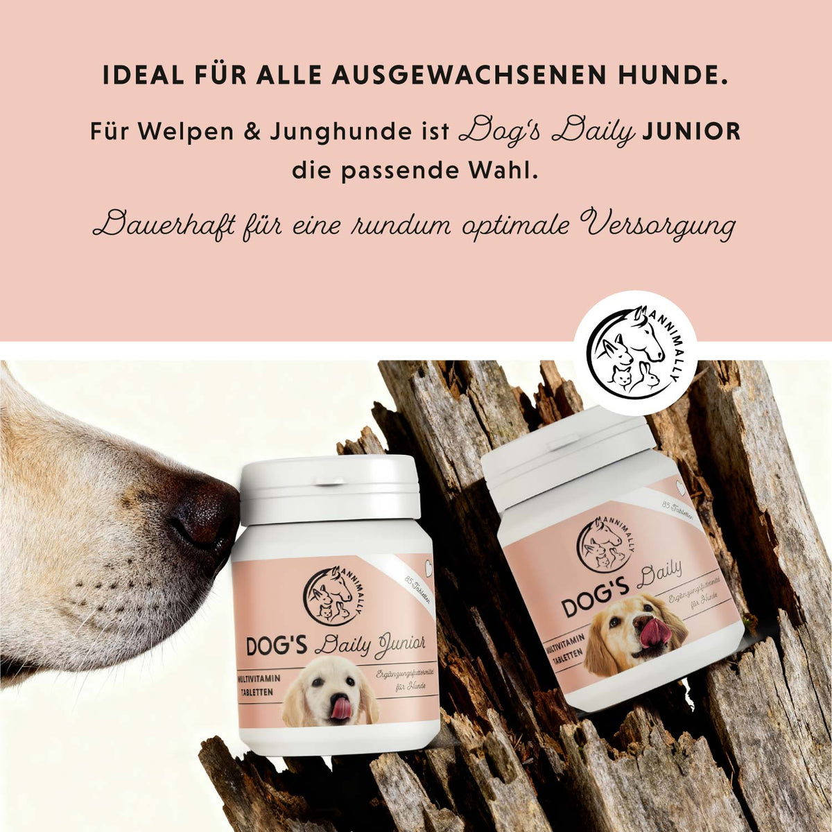 Futterzusatz für Hunde: Dog's Daily für die tägliche Versorgung
