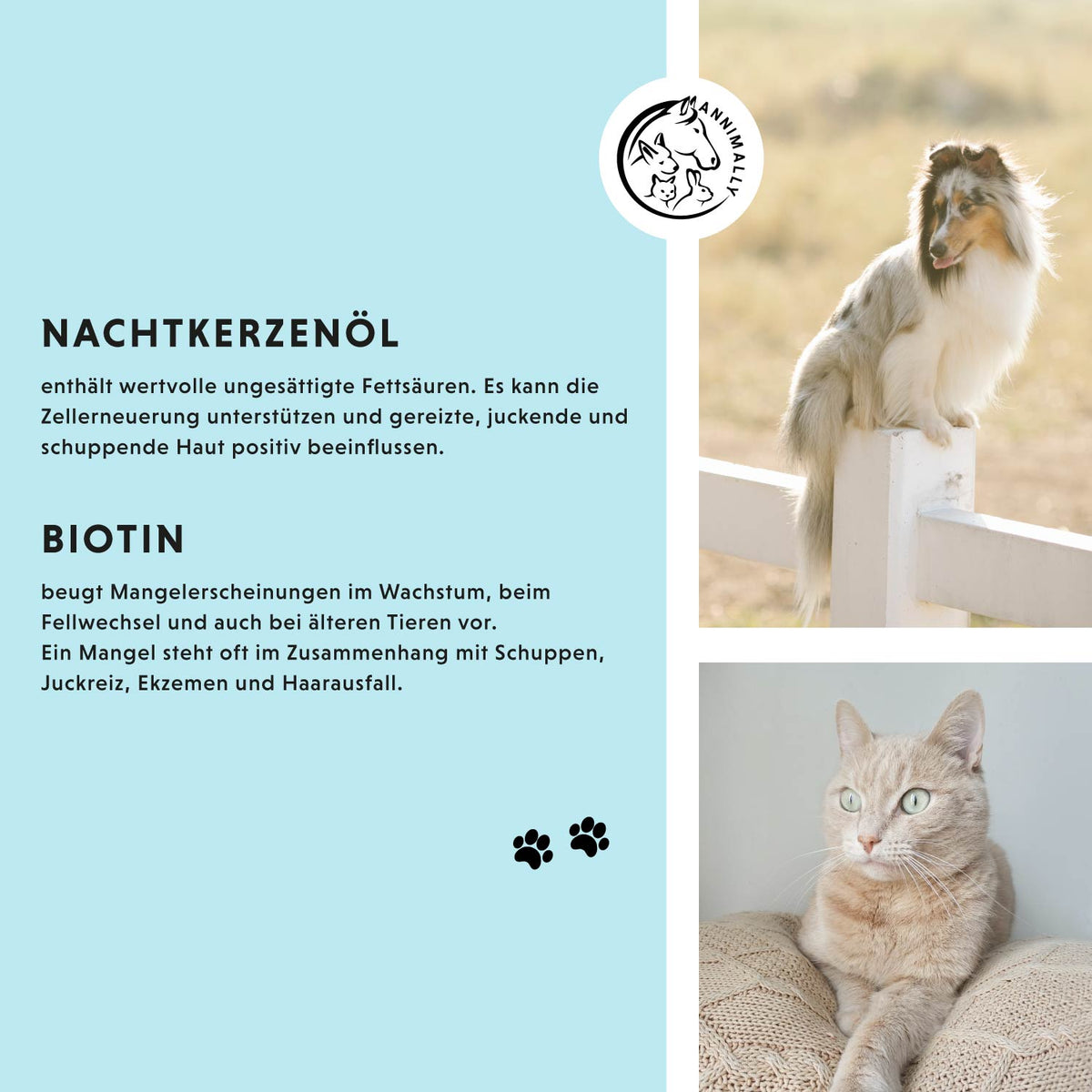 Haut & Fell Pulver für Hunde & Katzen – Futterergänzung | Annimally