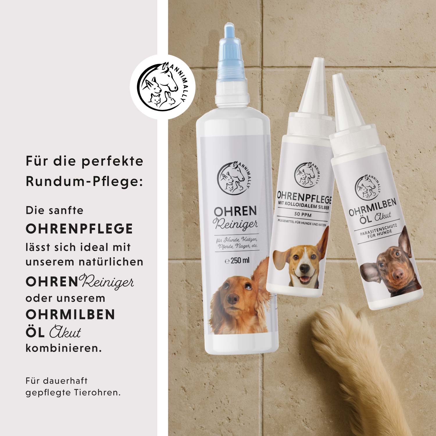 Ohrenpflege mit kolloidalem Silber 50 ppm