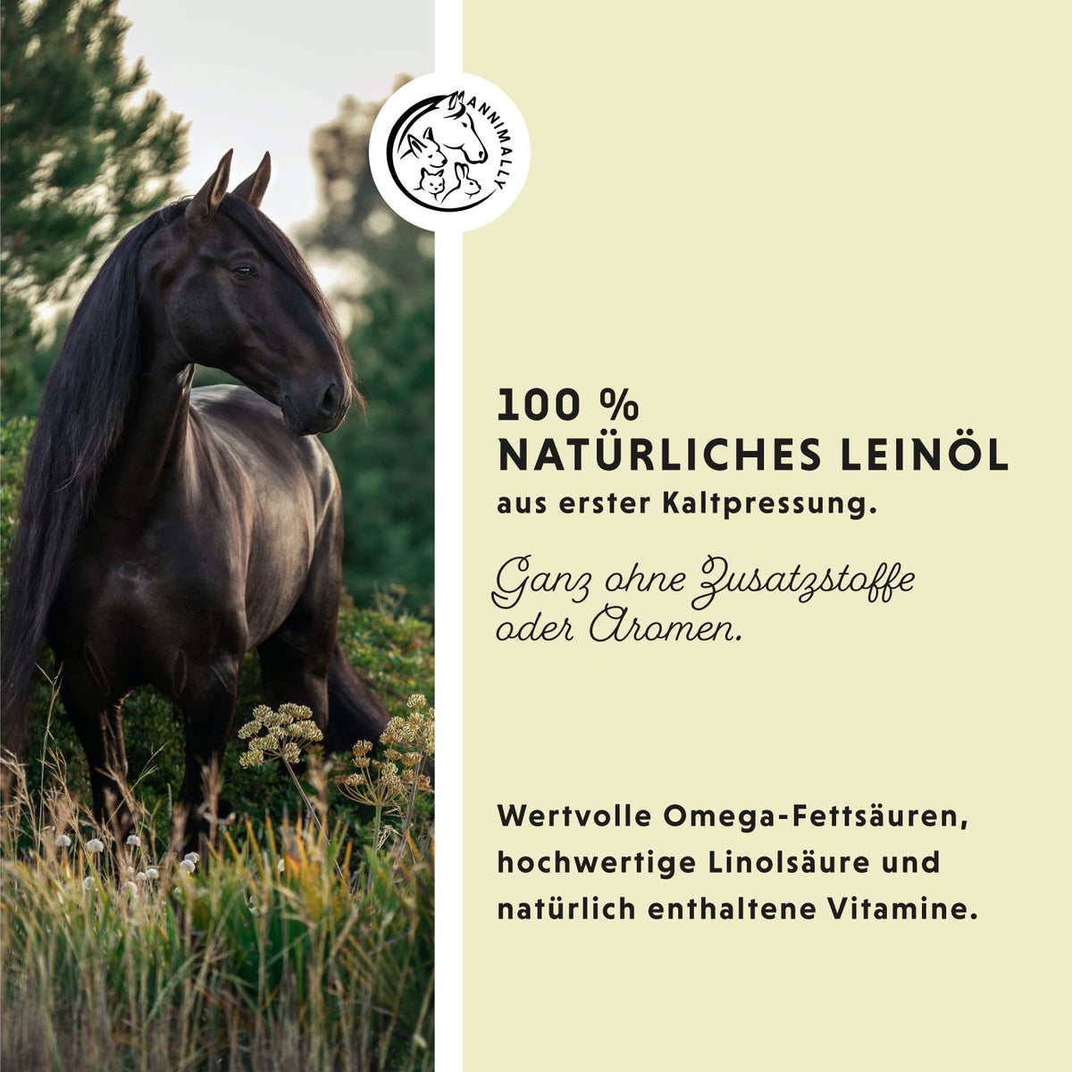 Leinöl 5 L für Pferde – Futterergänzung kaltgepresst mit Omega-3 | Annimally