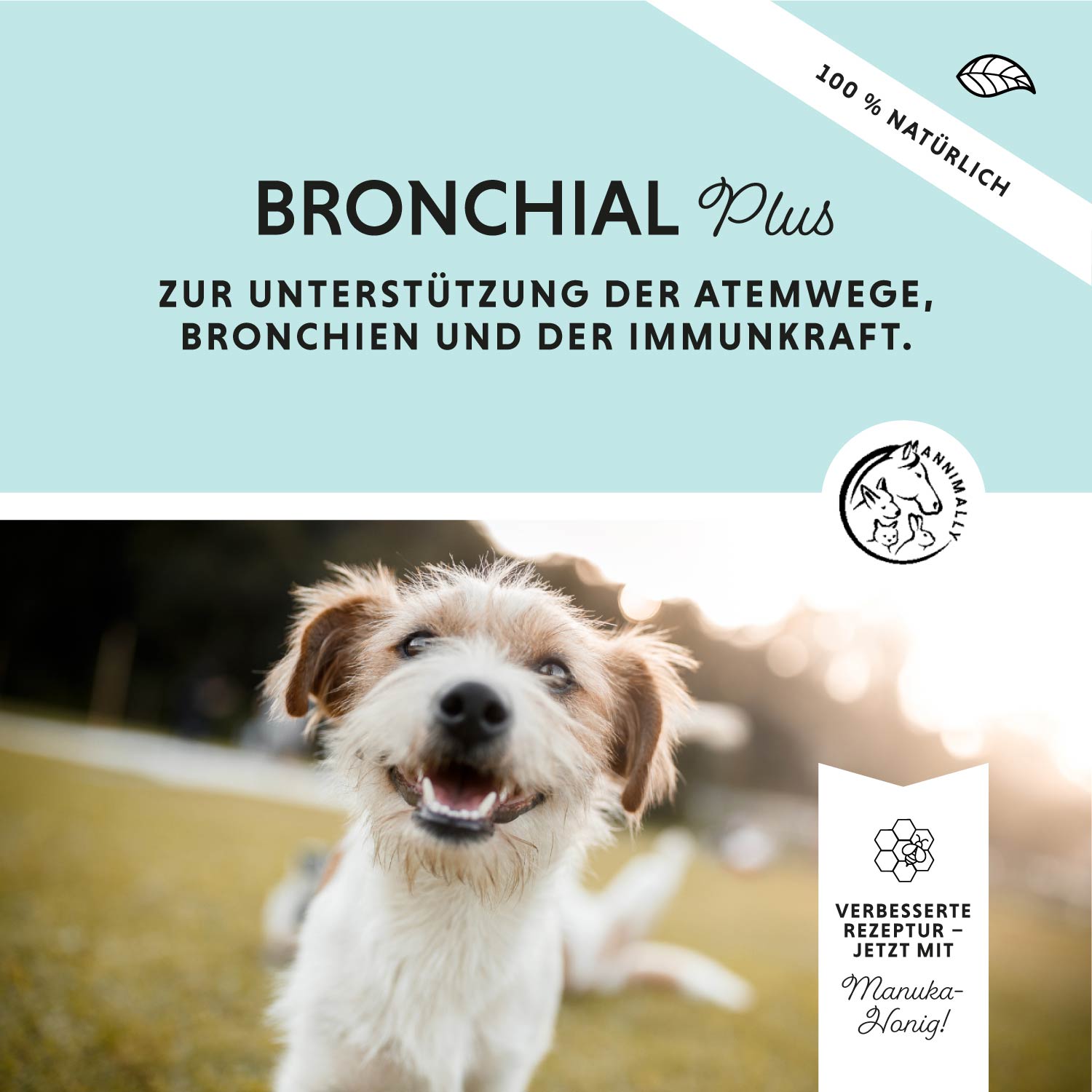 Bronchiale Plus