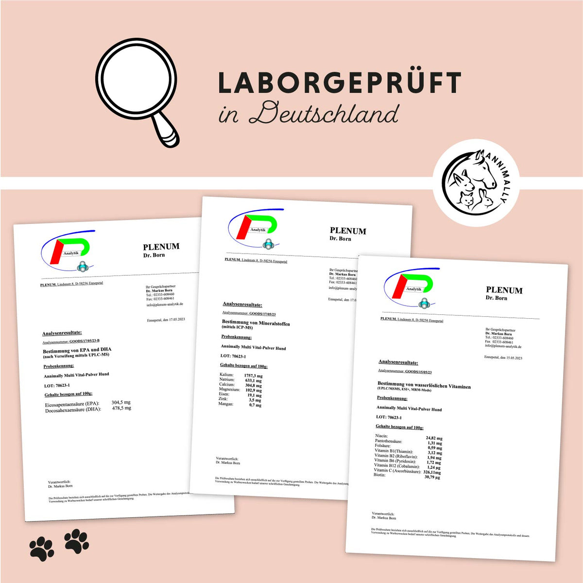 Multi Vital Pulver für Vitalität & Immunsystem – Futtertopping für Hunde