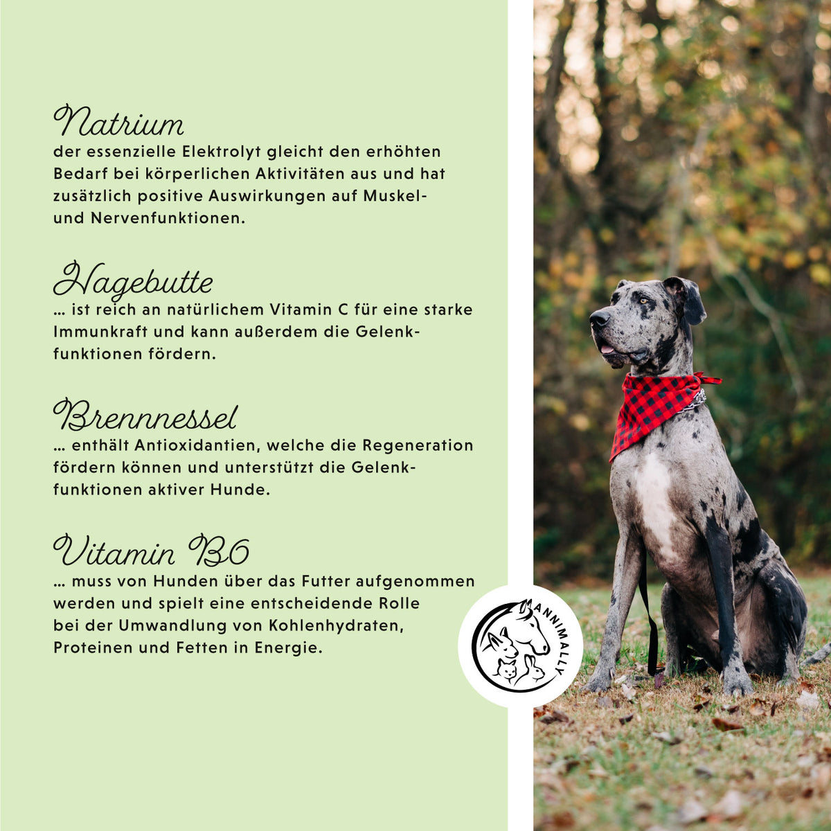 Muskelpower Tabletten – Futterzusatz für Hunde – Ansicht 2
