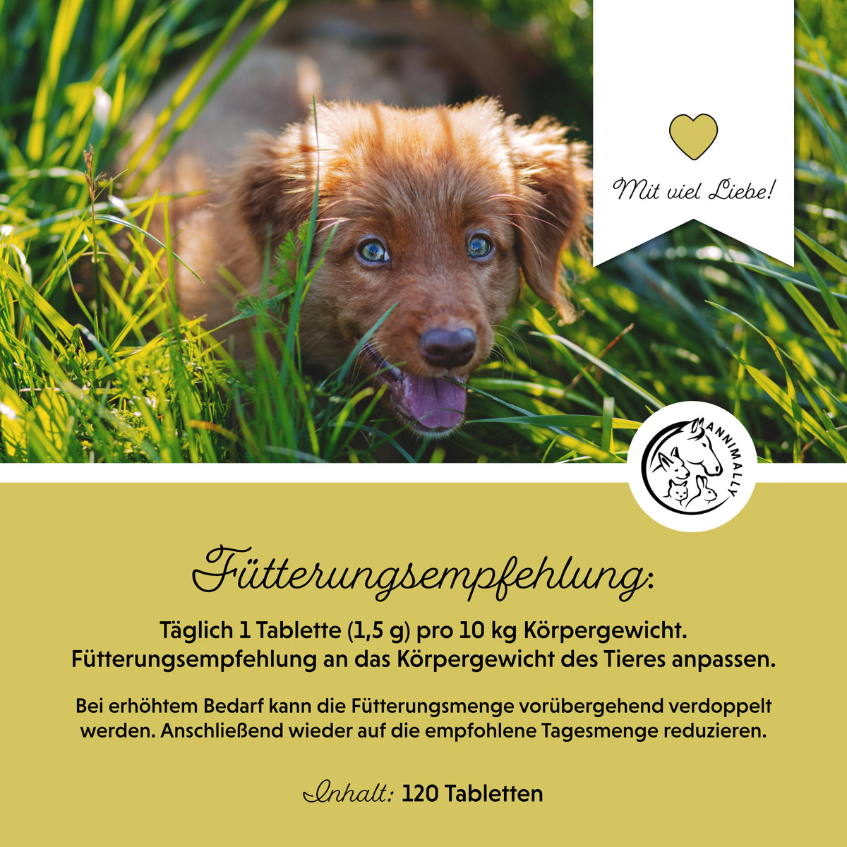 Nahrungsergänzungsmittel für Hunde: Gras- & Kotfresser Tabletten – Ansicht 2