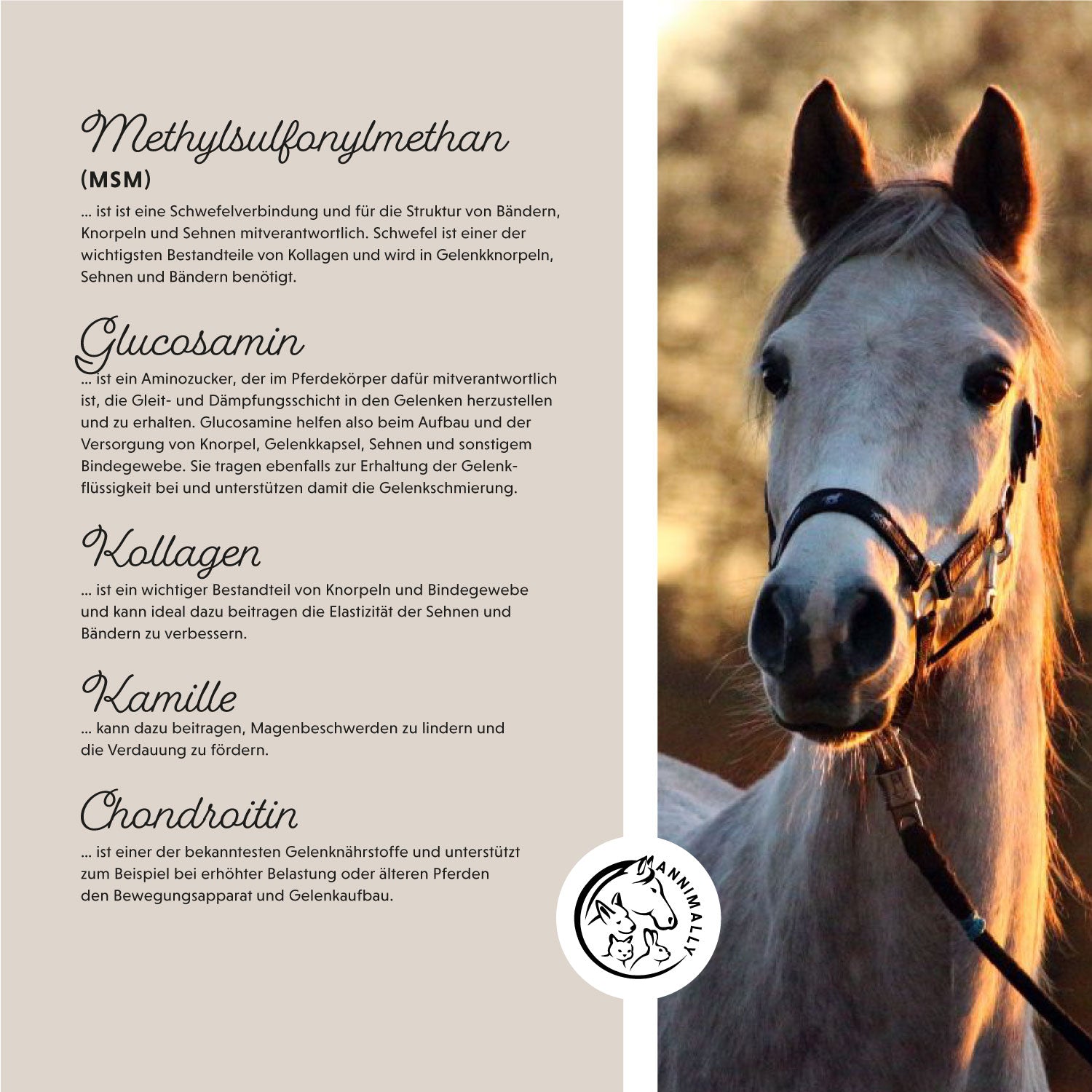 vreugde van beweging gevoelig