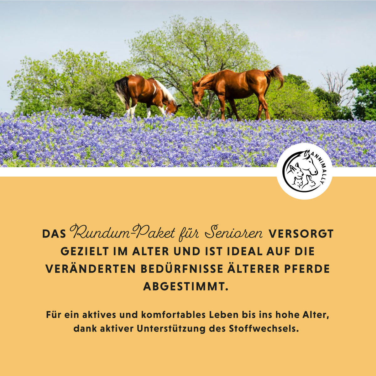 Senior Vital Pulver für Pferde – Futterergänzung für ältere Pferde | Annimally