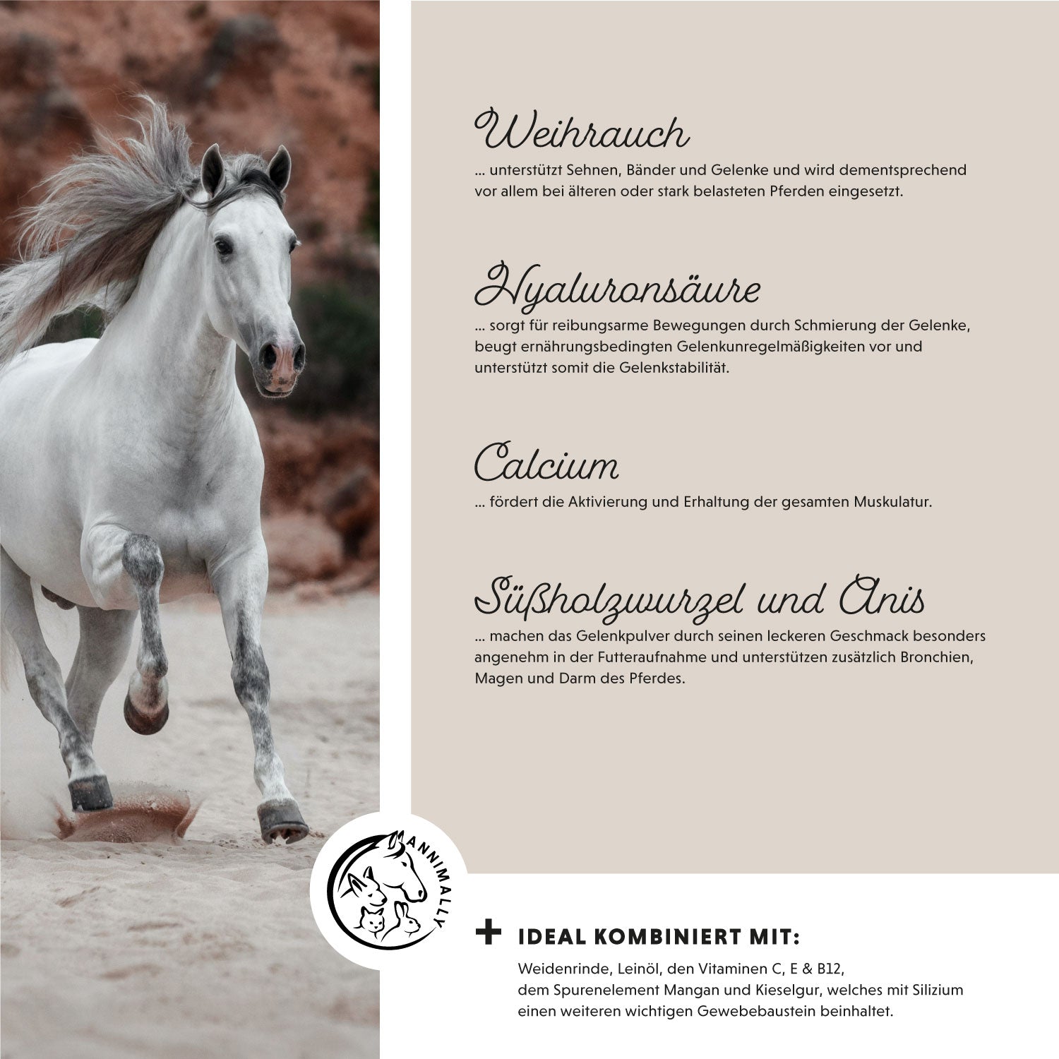 vreugde van beweging gevoelig