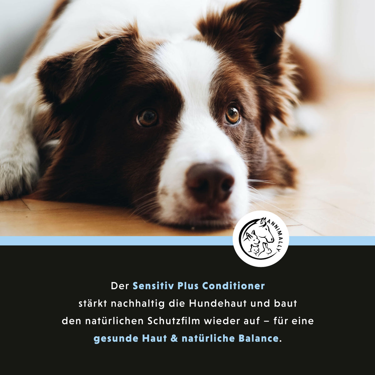 Sensitiv Plus Conditioner für Hunde – natürliche Pflege für empfindliche Haut | Annimally