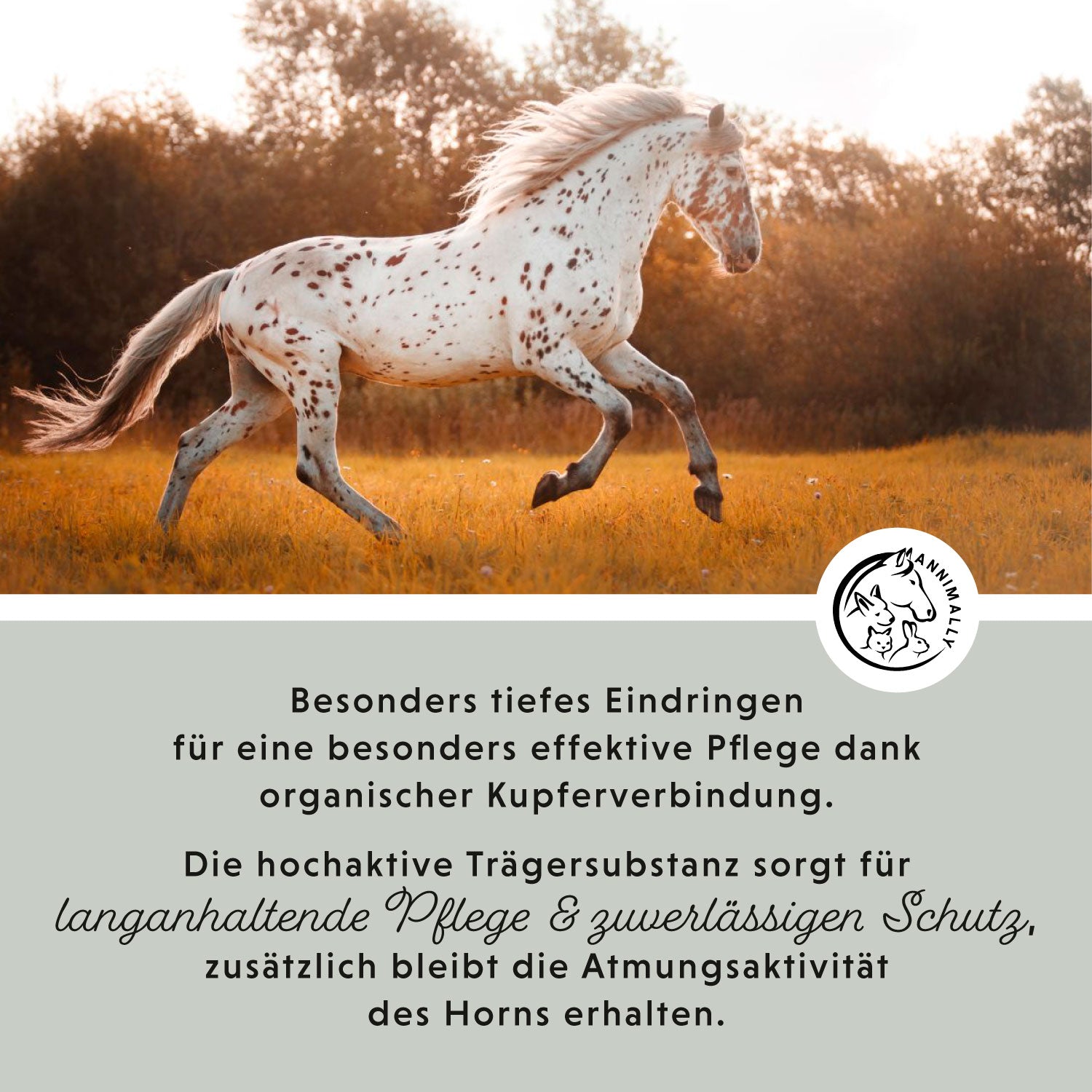 scherpe straal