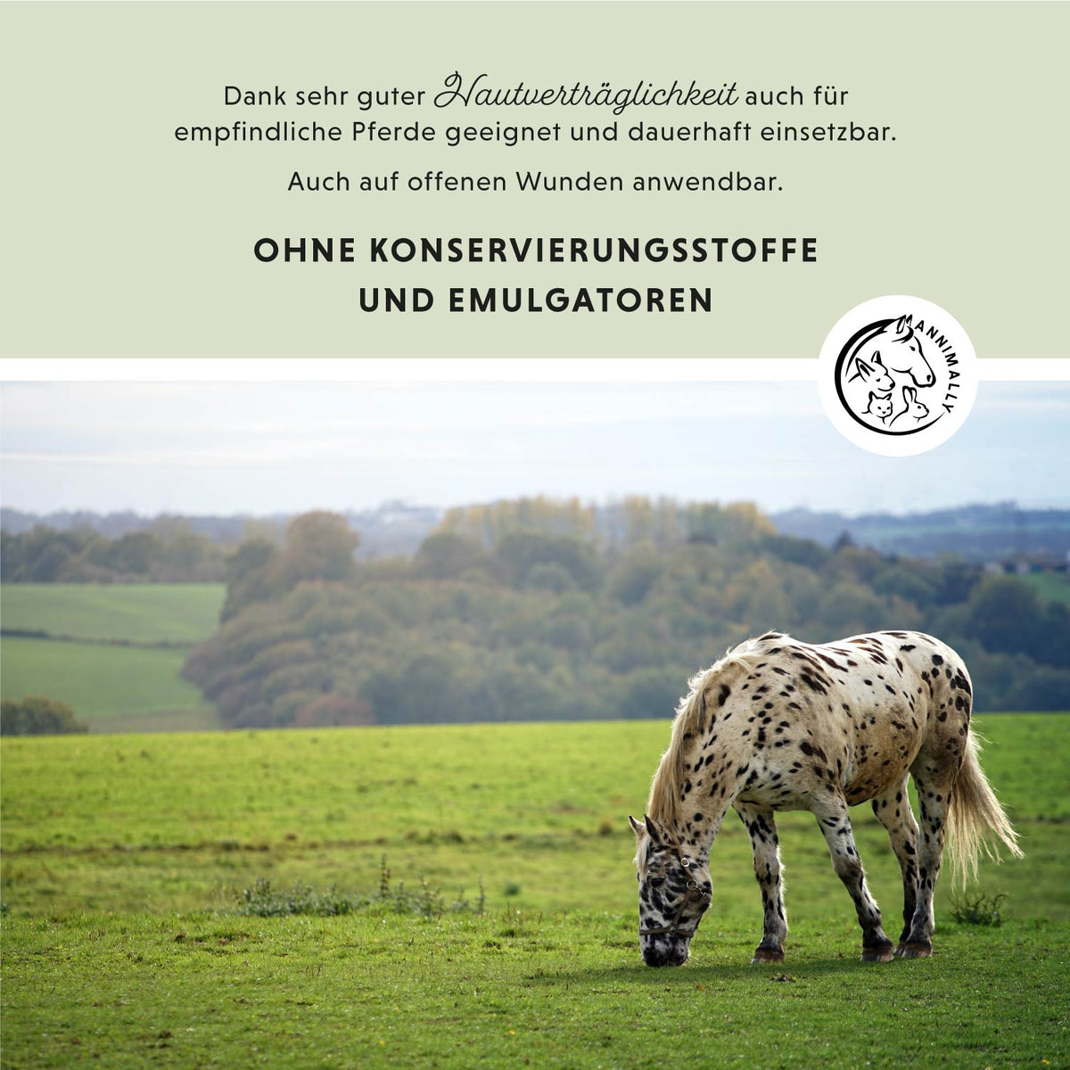 Tierpflege für Pferde: Ekzem Creme Plus bei Sommerekzem