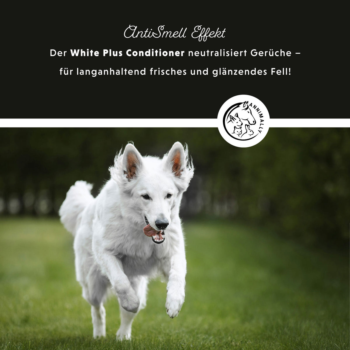 White Plus Conditioner für weißes & helles Fell – Pflegeprodukt für Hunde