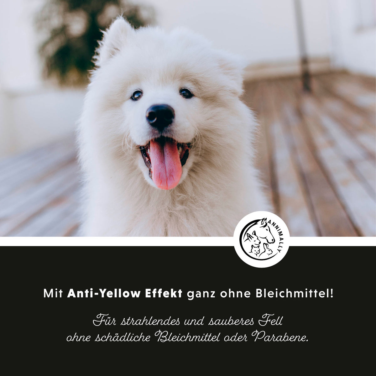 White Plus Shampoo für weißes & helles Fell – Tierpflege für Hunde