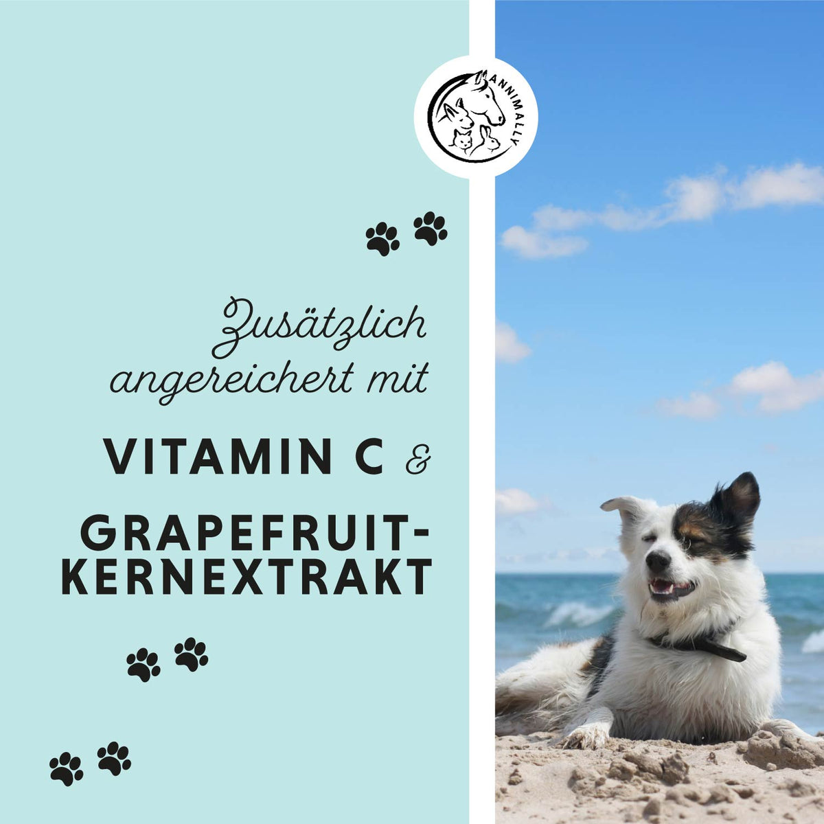 Winter-Box für Hunde für die kalte Jahreszeit – Vorteilsbox mit Futterergänzungen von Annimally
