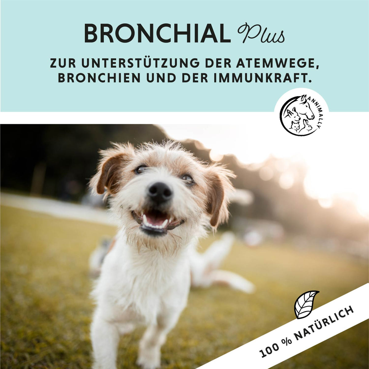 Winter-Box für die kalte Jahreszeit – Set mit Futterzusätzen für Hunde
