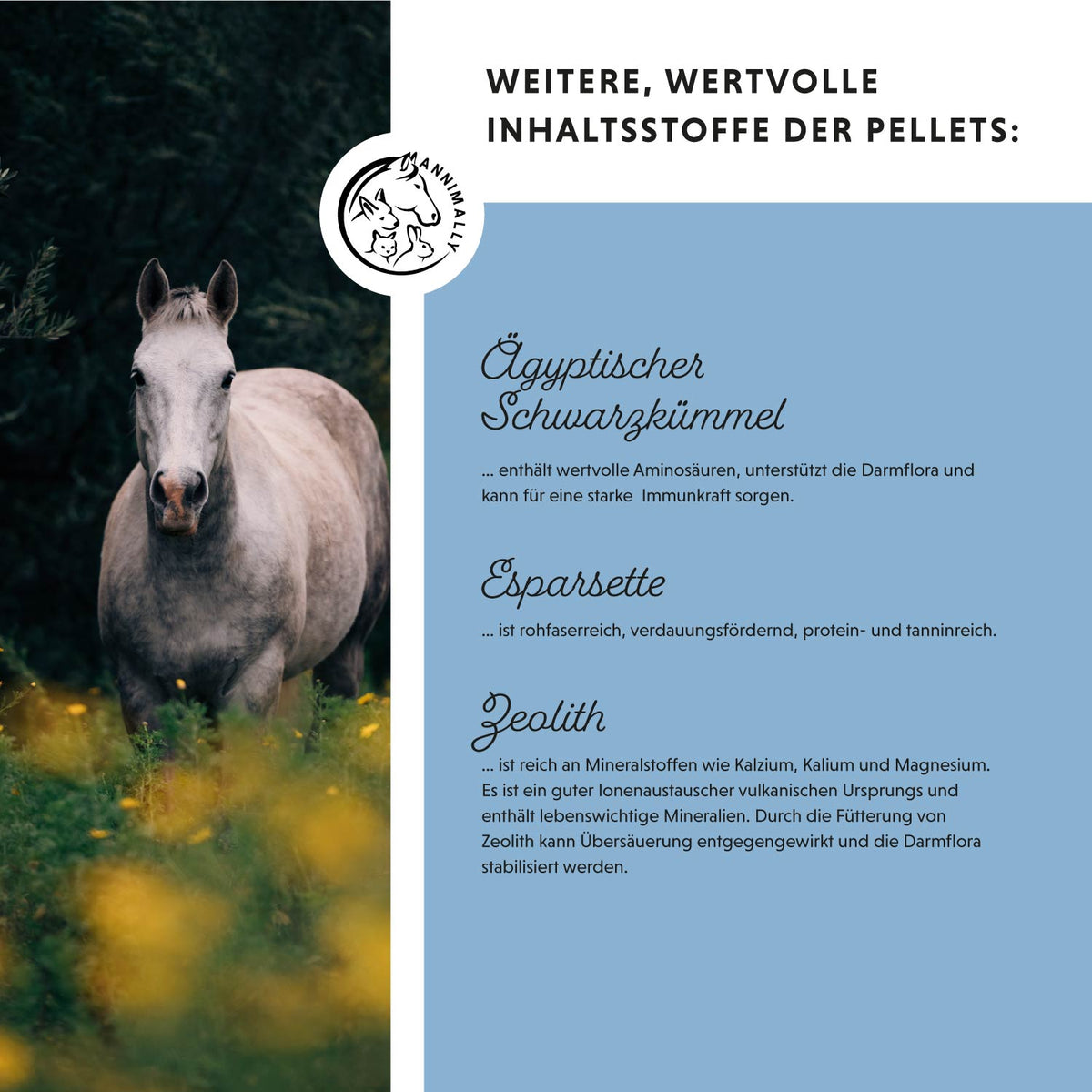 Zink Pellets für Haut, Fell & Hufe – Futtertopping für Pferde