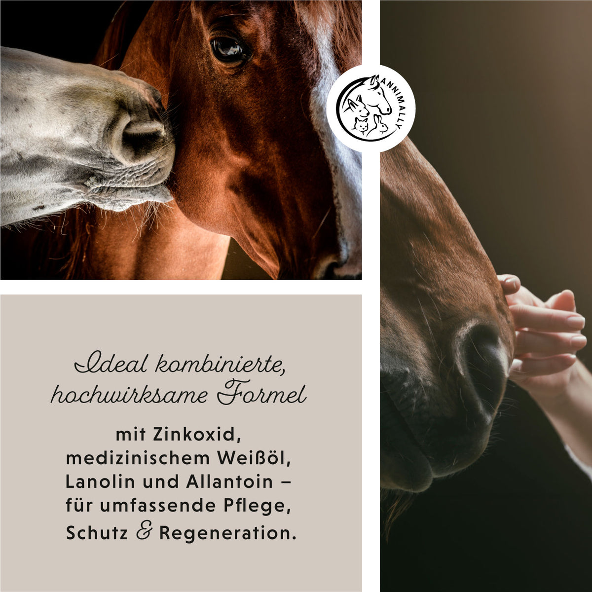 Zinkspray Plus für Haut & Hufe – Pflegeprodukt für Pferde