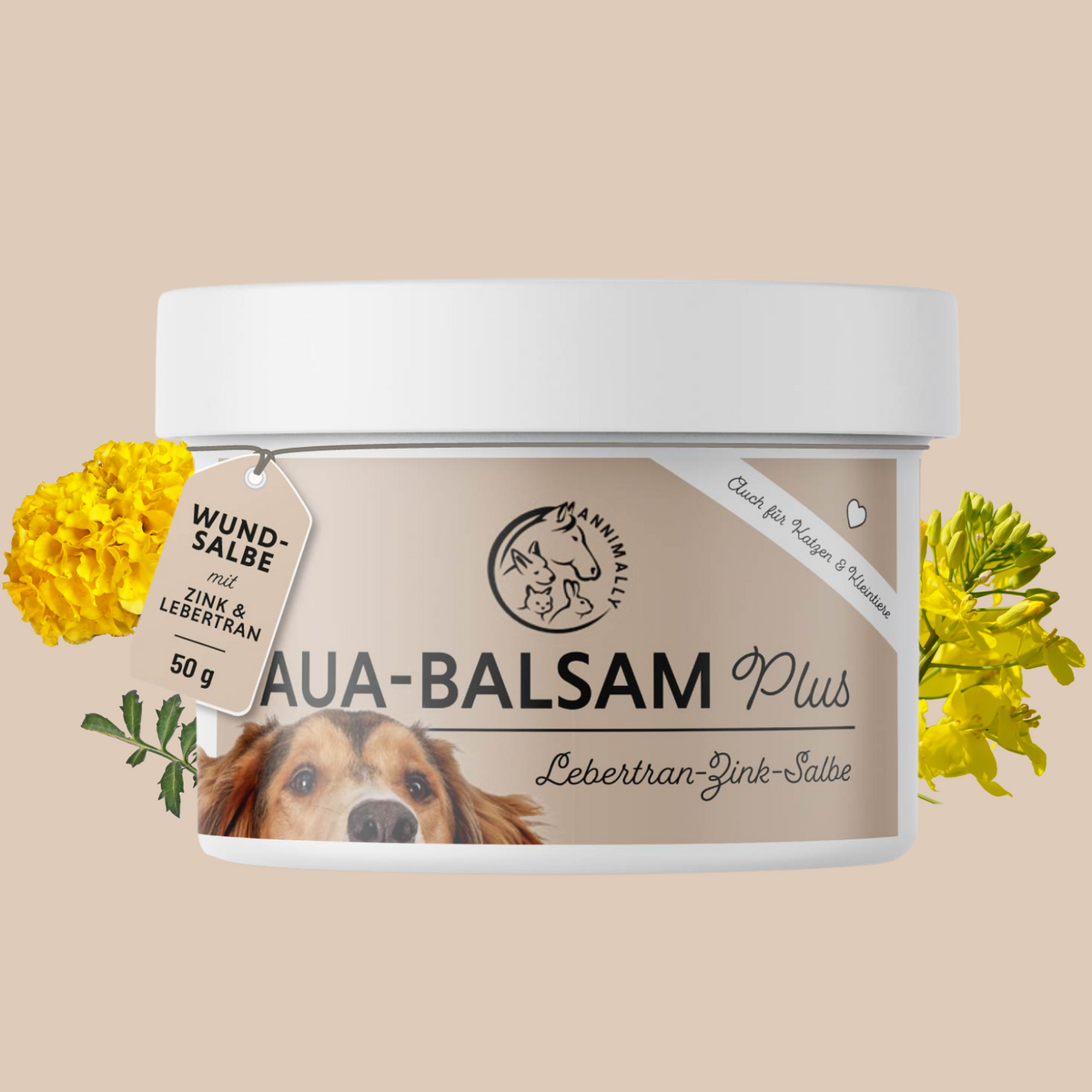 Aua-Balsam Plus für Hunde – Pflegeprodukt zur Wundpflege | Annimally