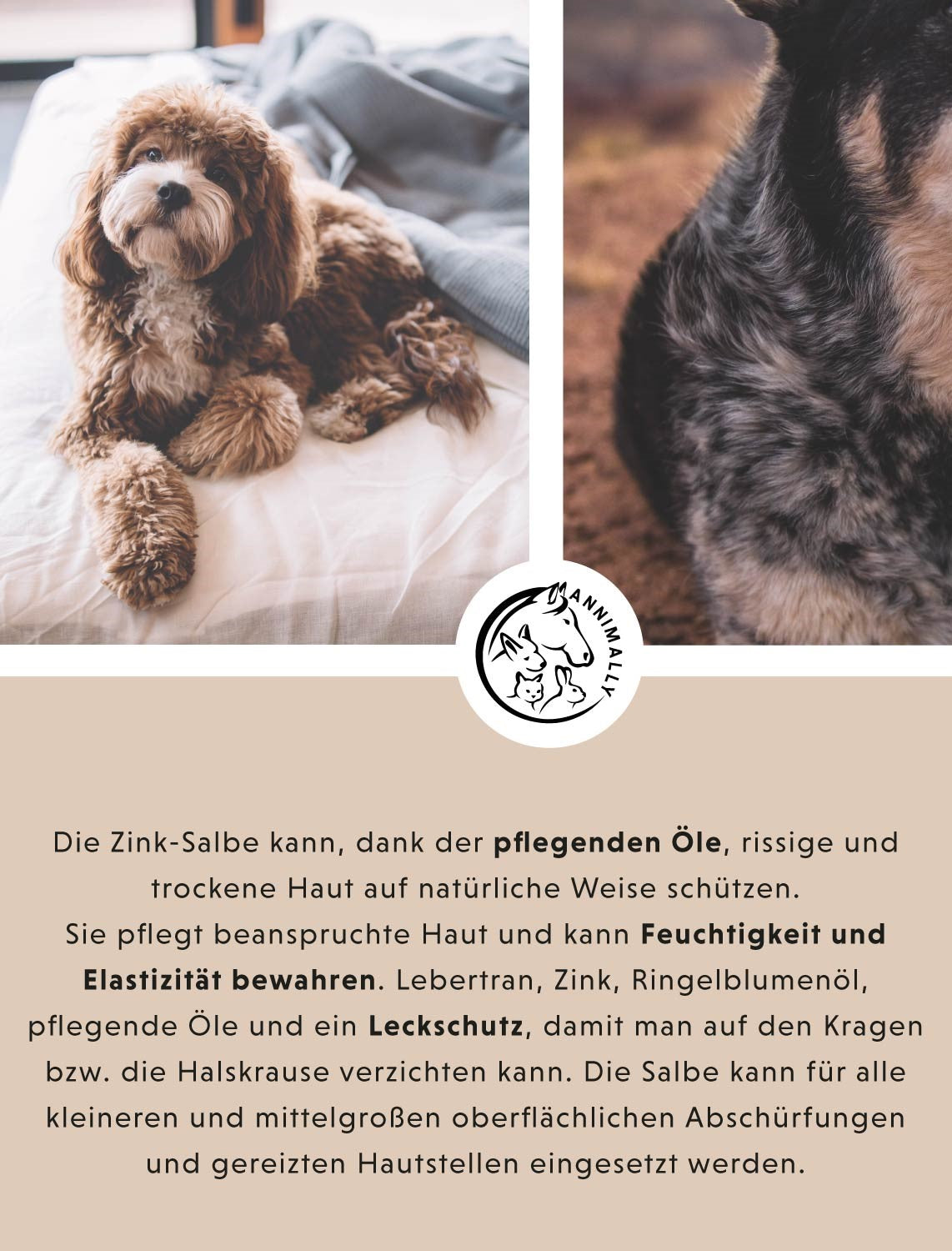 Aua-Balsam Plus zur Wundpflege – Tierpflege für Hunde