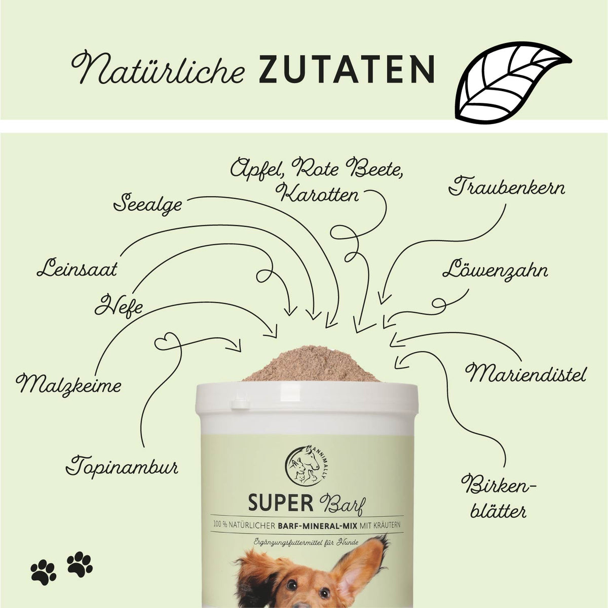 Barf-Box XL für Hunde & Katzen – Vorteilsbox mit Futterergänzungen von Annimally