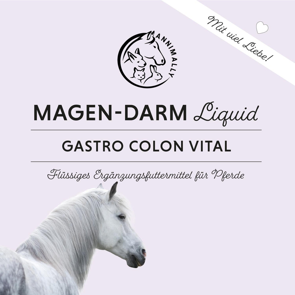 Futterergänzung für Pferde: Magen-Darm Liquid