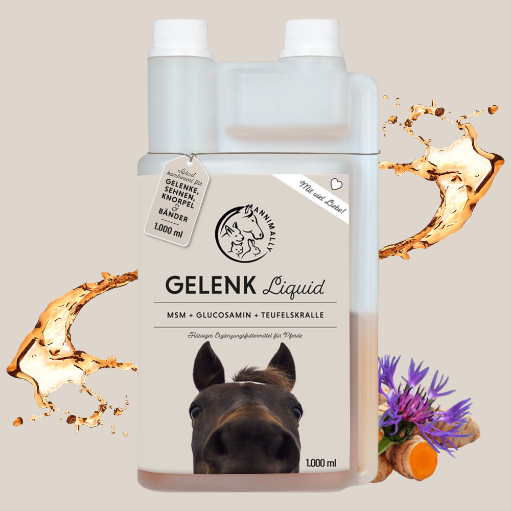 Gelenk Liquid für Pferde – Nahrungsergänzungsmittel | Annimally