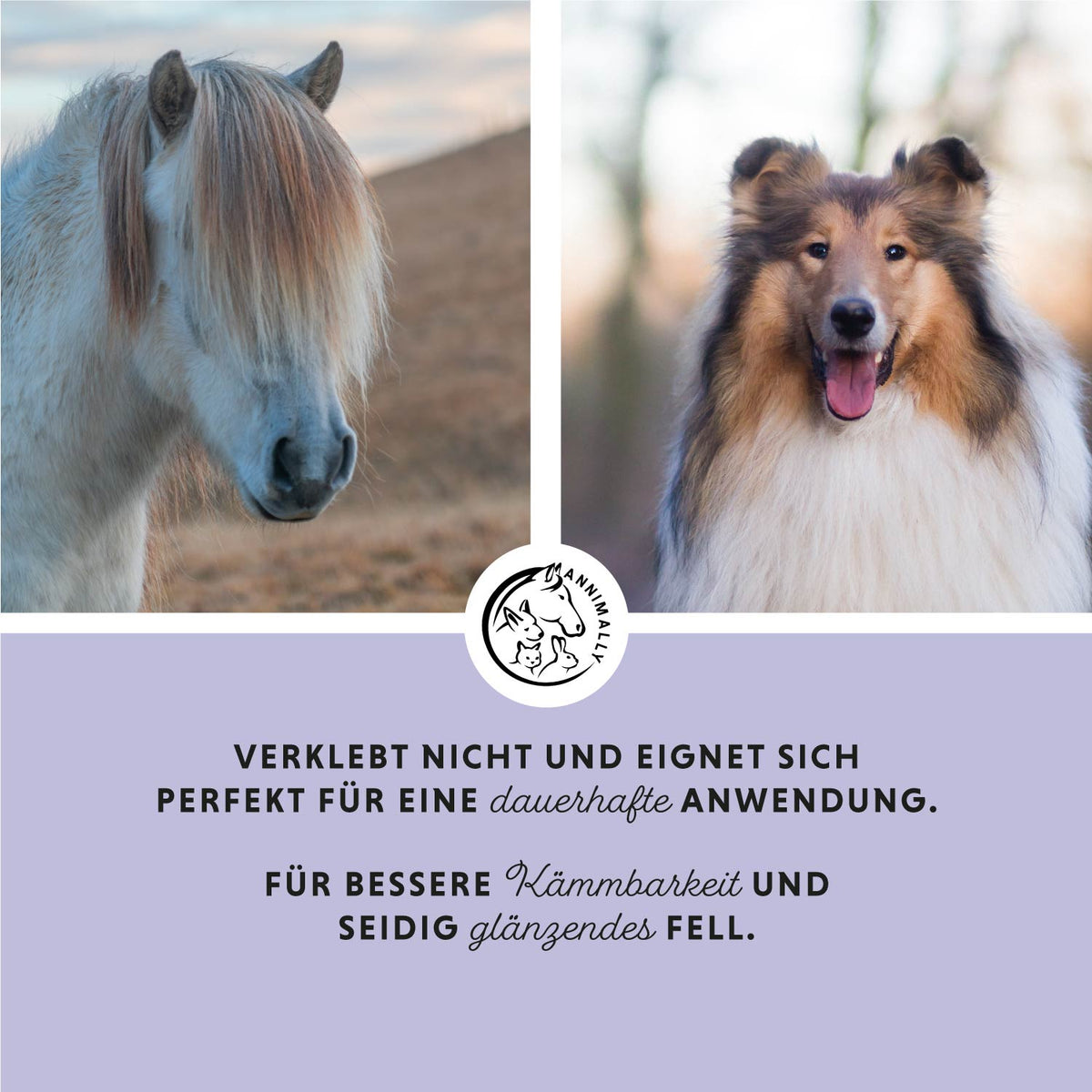 Hair Care Pro für Fell & Mähne – Pflegeprodukt für Hunde & Pferde