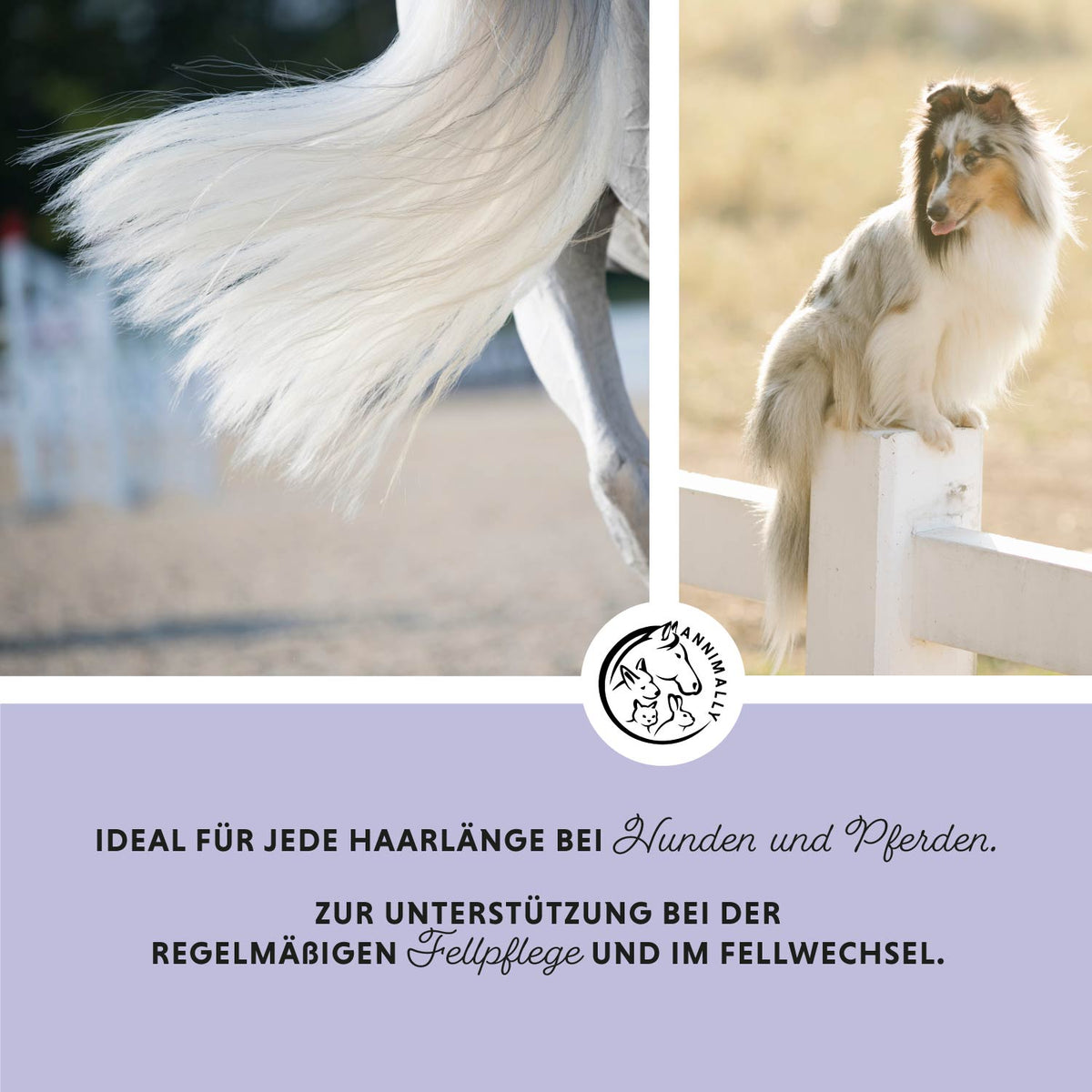 Hair Care Pro für Hunde & Pferde – natürliche Pflege für Fell & Mähne | Annimally