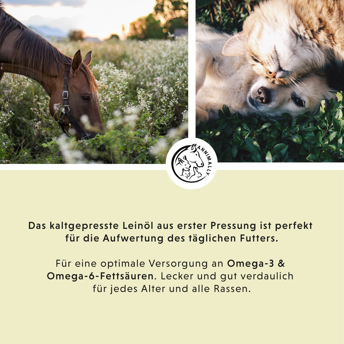 Leinöl kaltgepresst mit Omega-3 – Futterzusatz für Hunde & Katzen